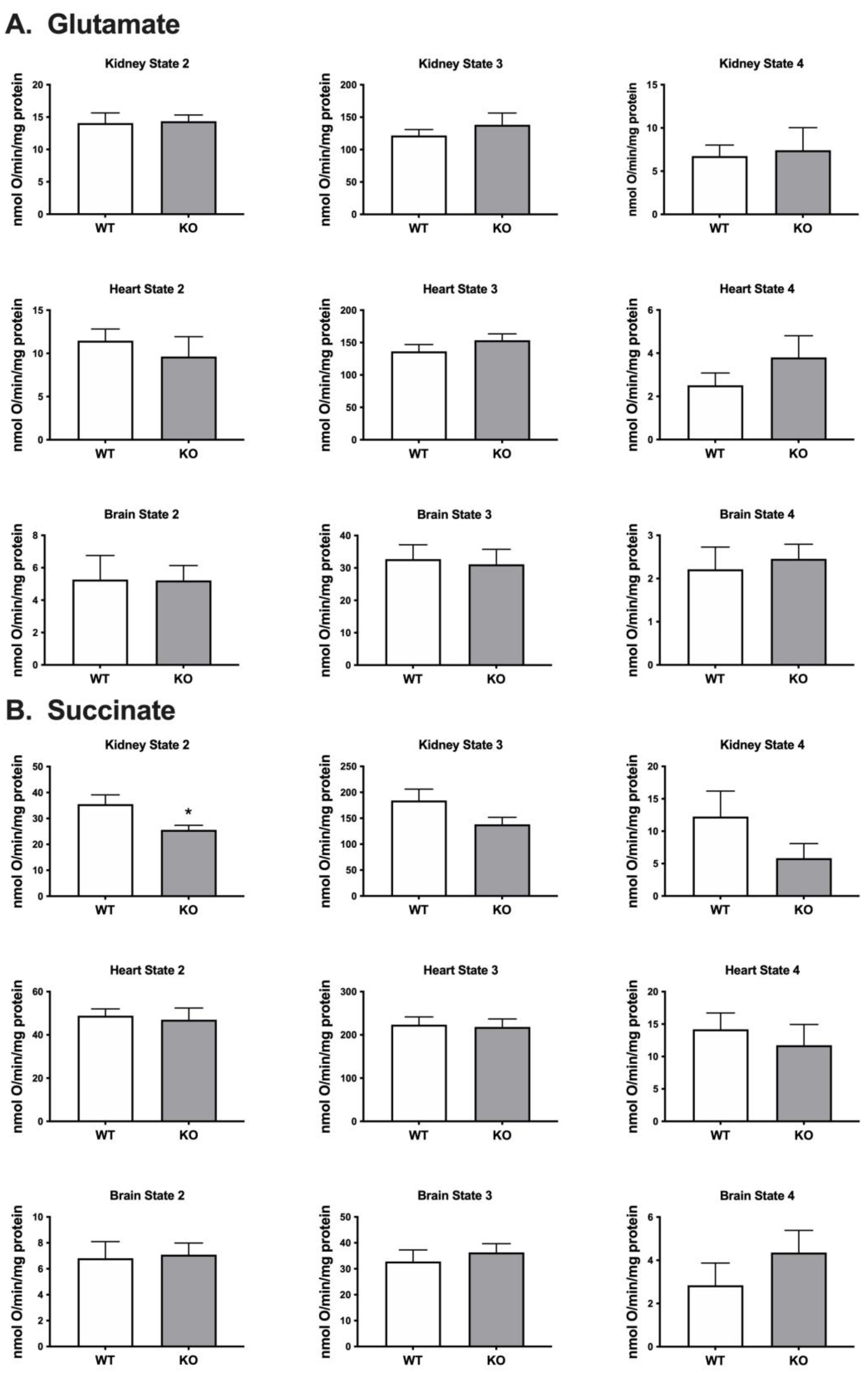 Preprints 92570 g003