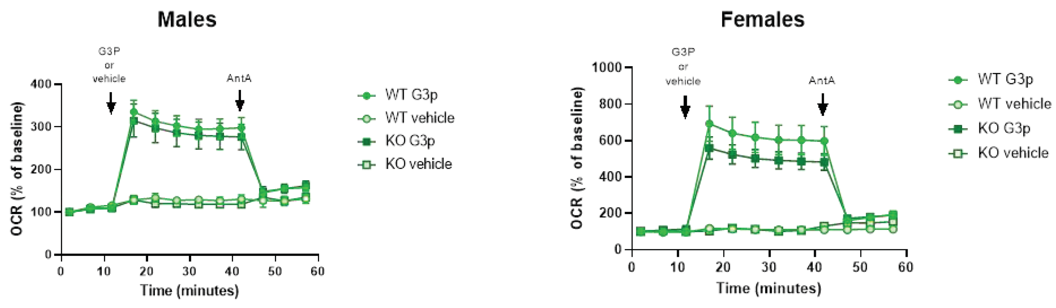 Preprints 92570 g004