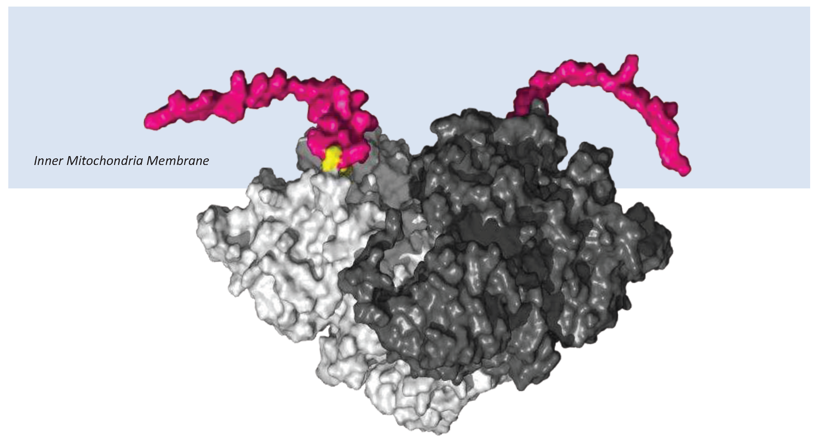 Preprints 92570 g006