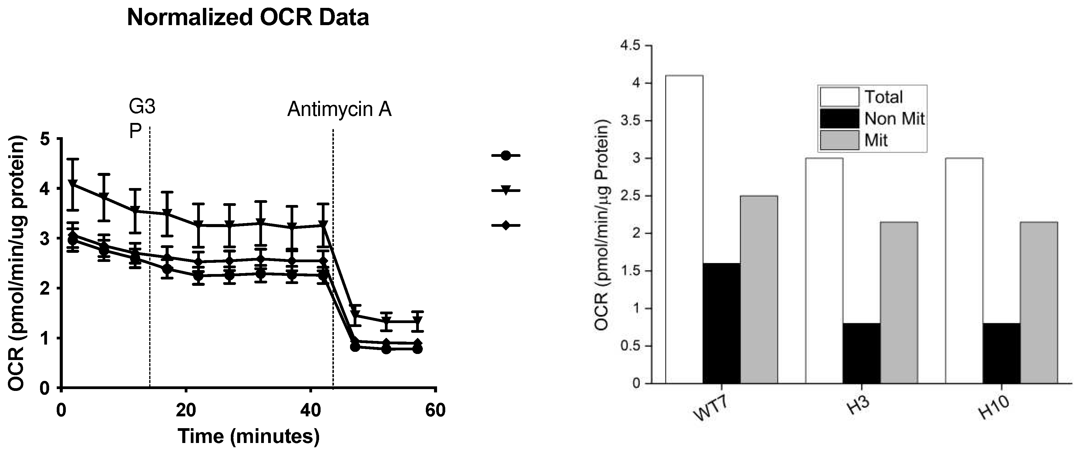 Preprints 92570 g008