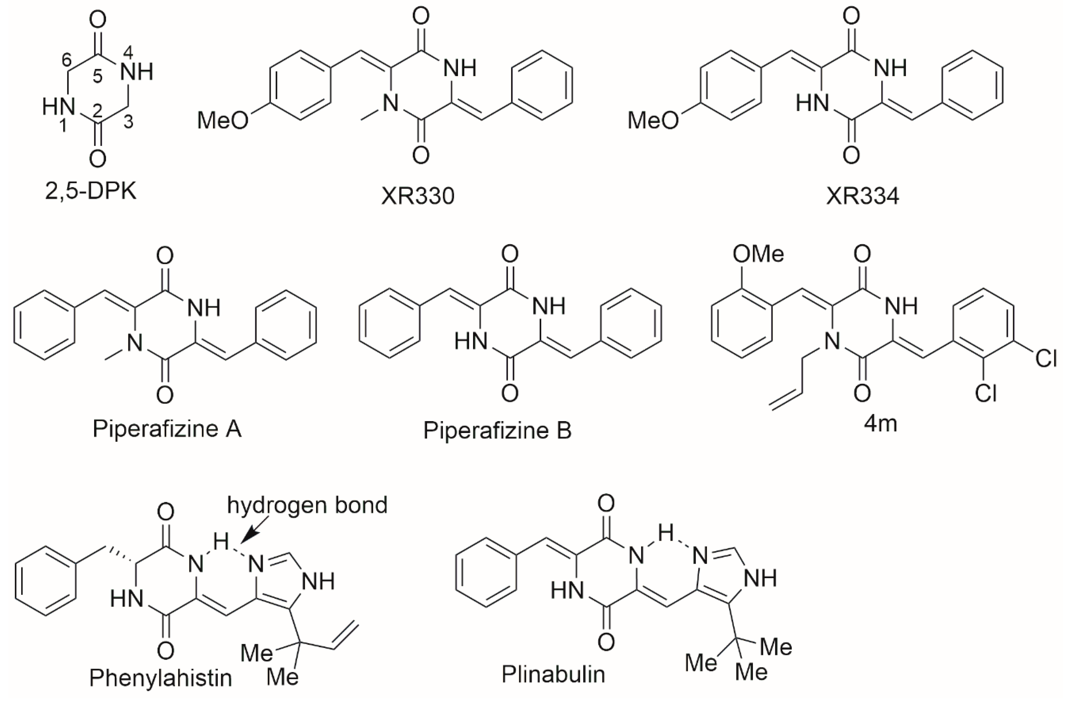 Preprints 72010 g001