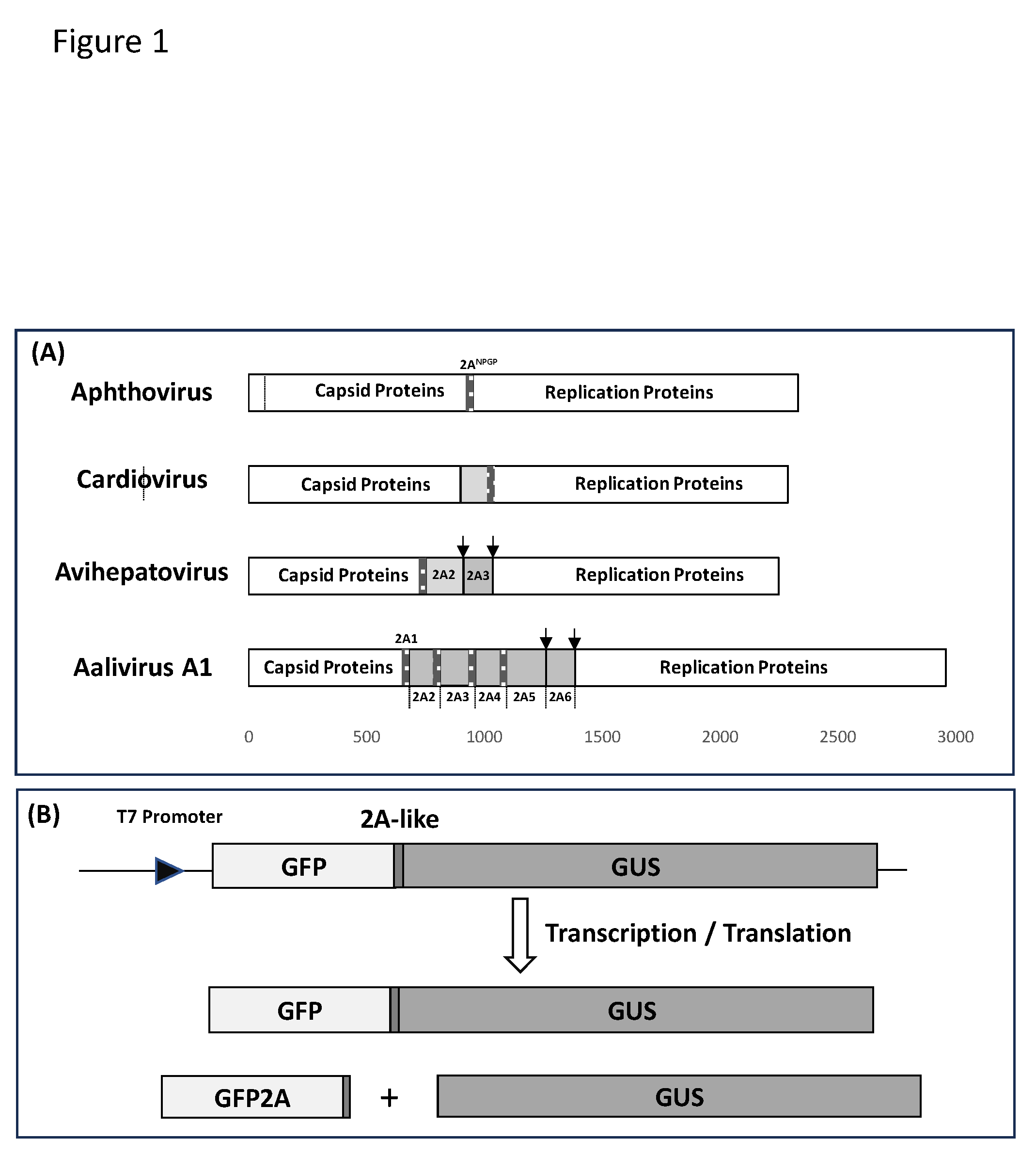 Preprints 119196 g001