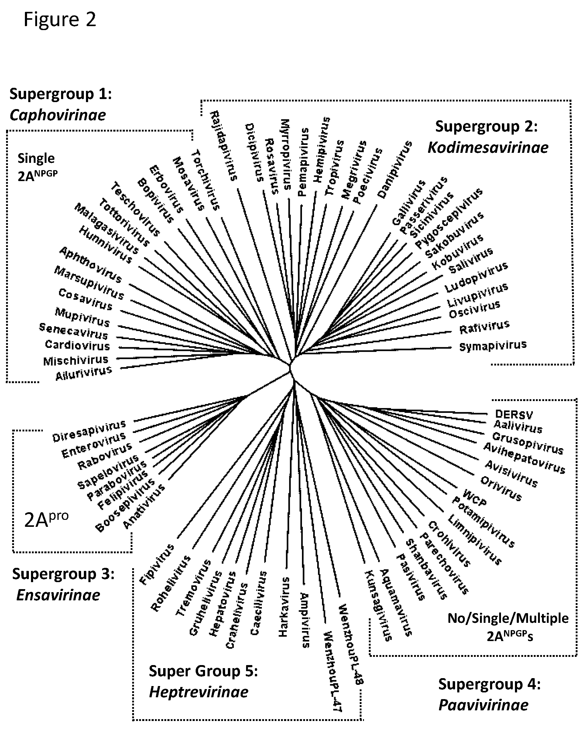 Preprints 119196 g002