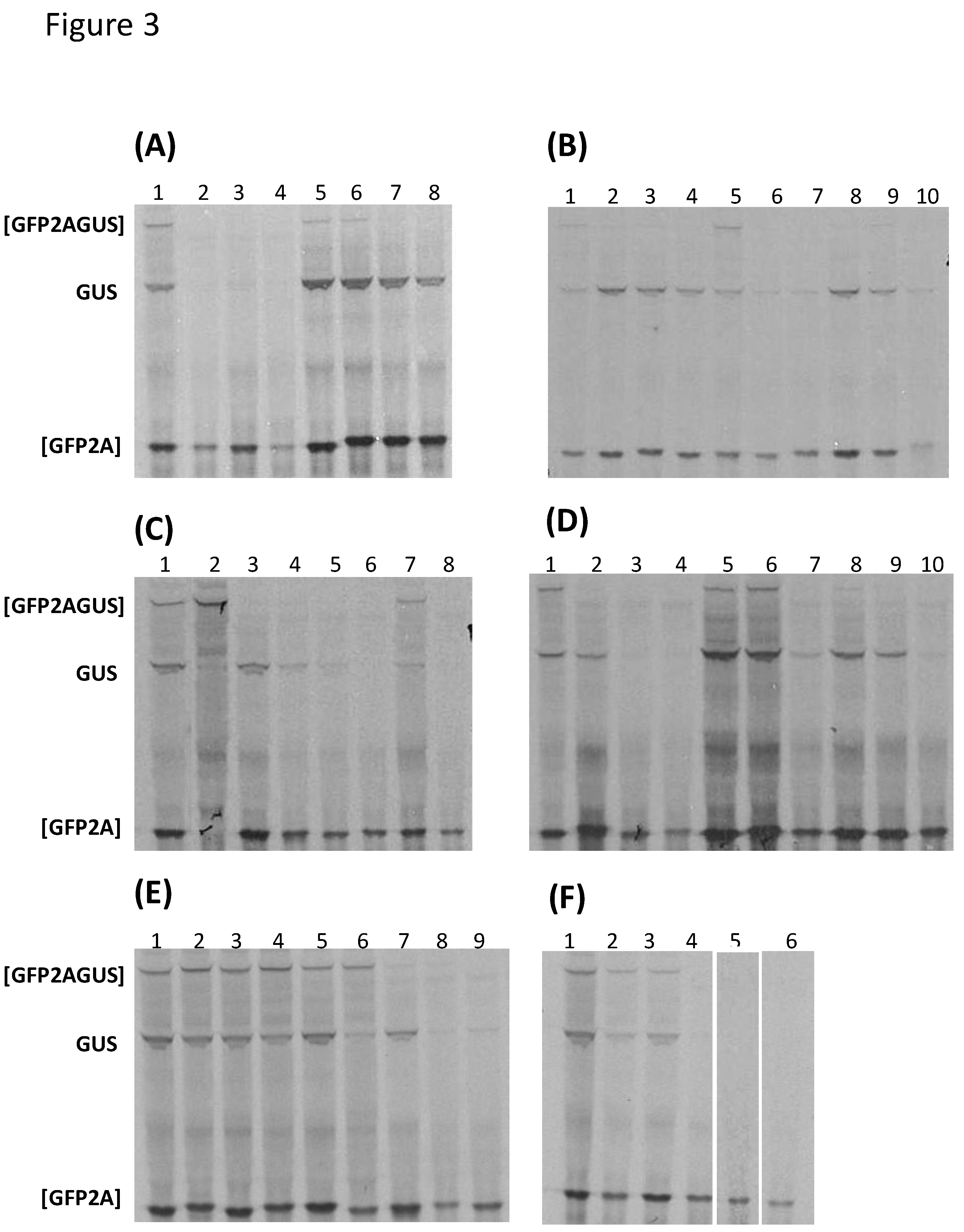 Preprints 119196 g003