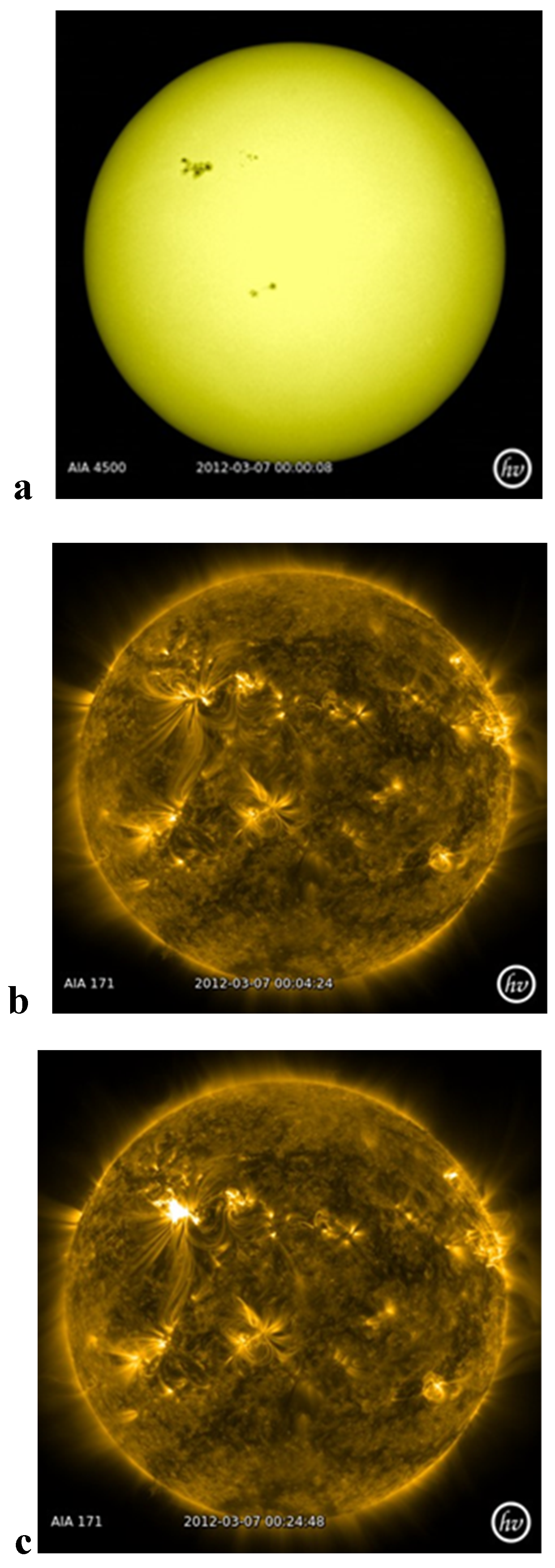 Preprints 94406 g002