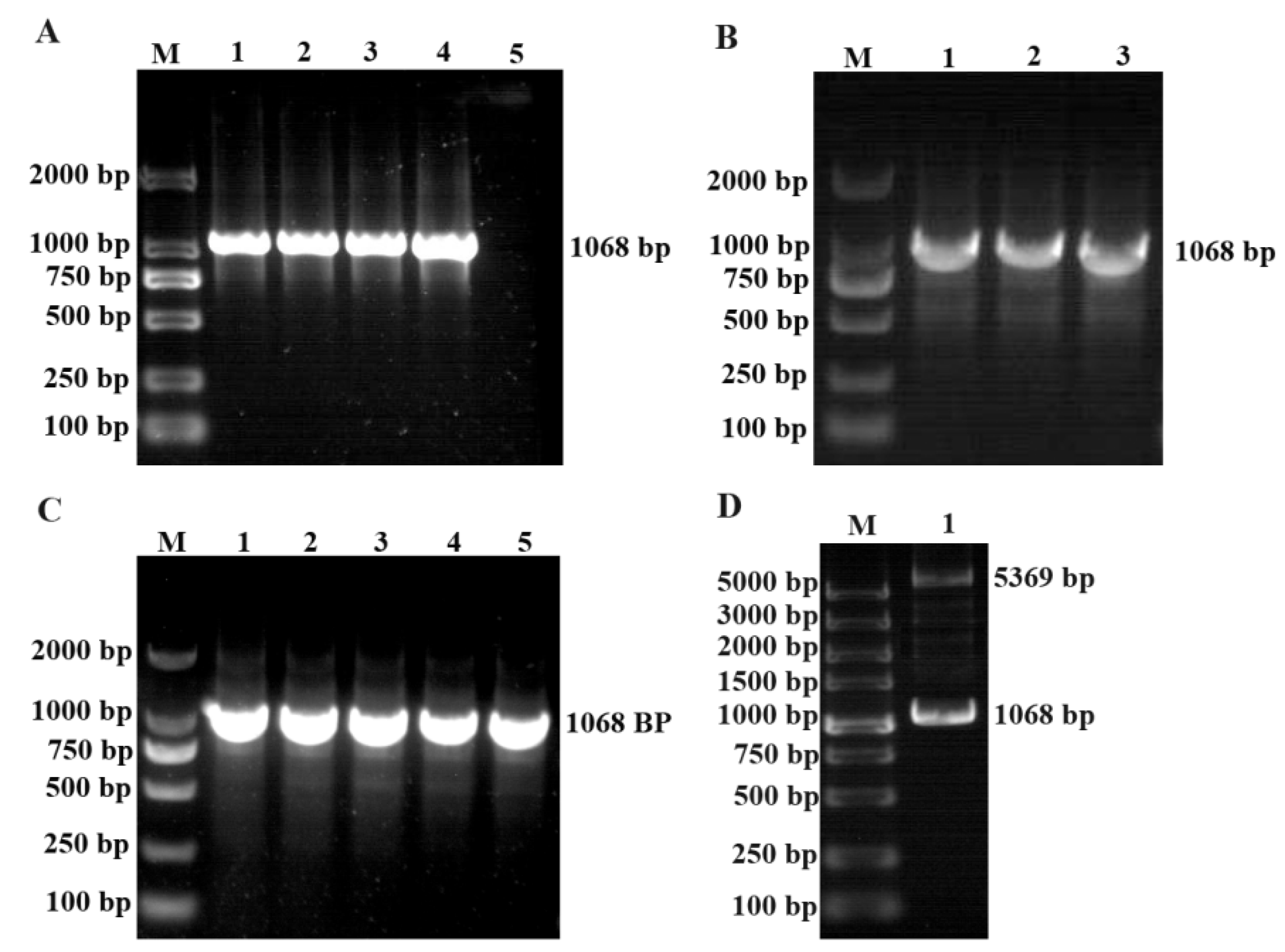 Preprints 87631 g002