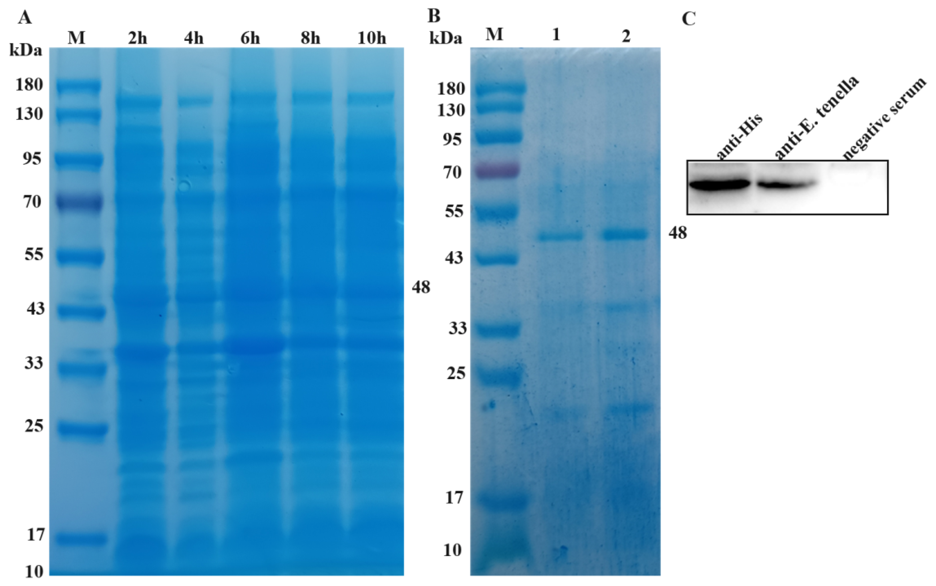 Preprints 87631 g003