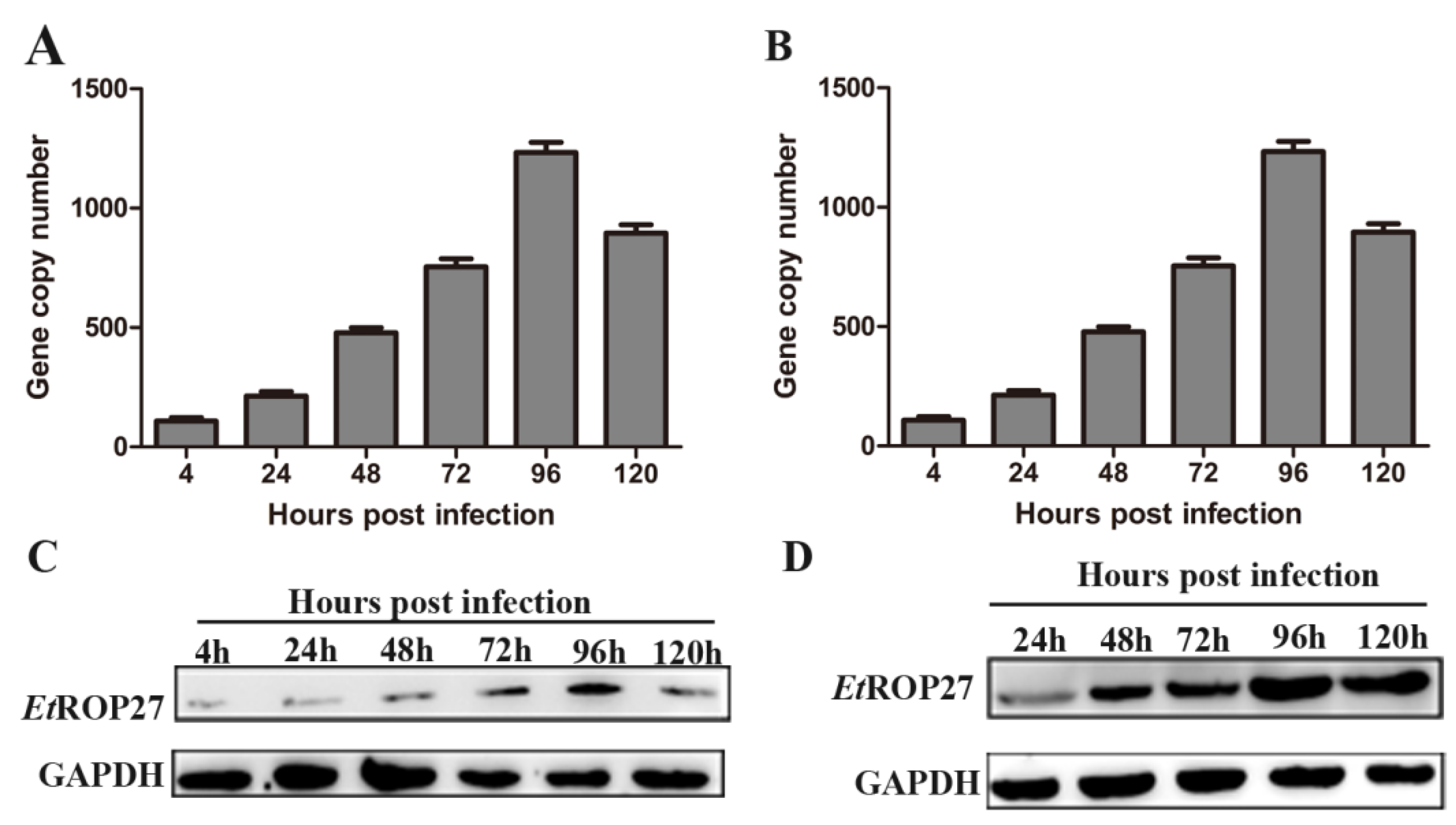 Preprints 87631 g005