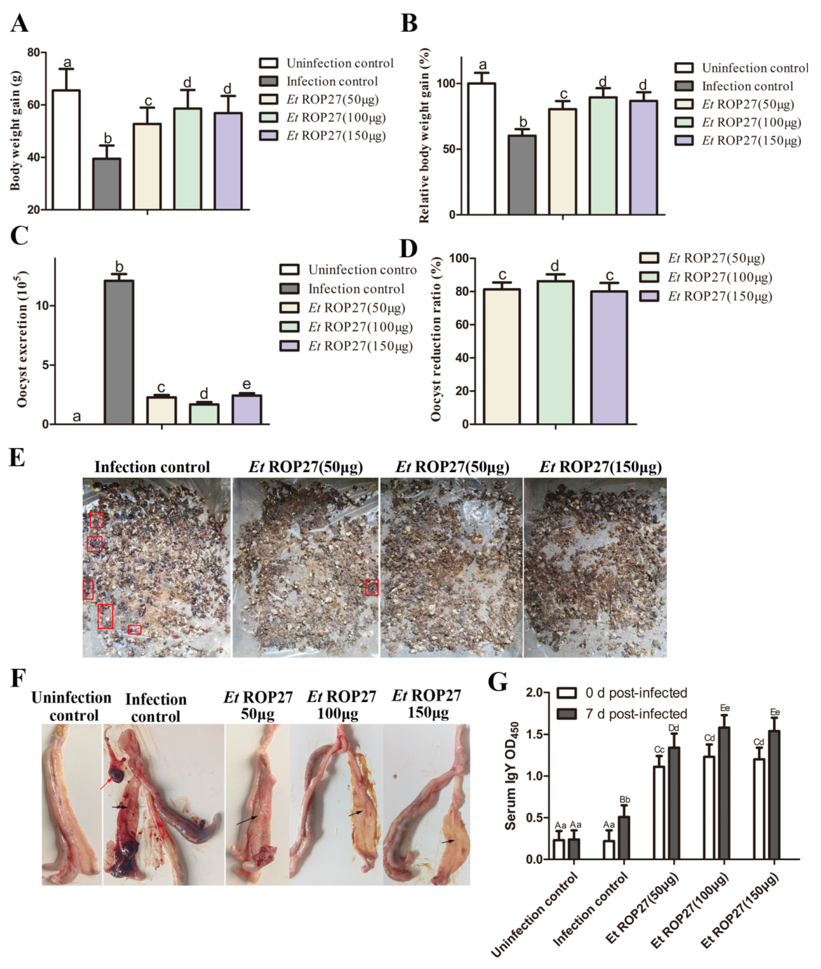 Preprints 87631 g006