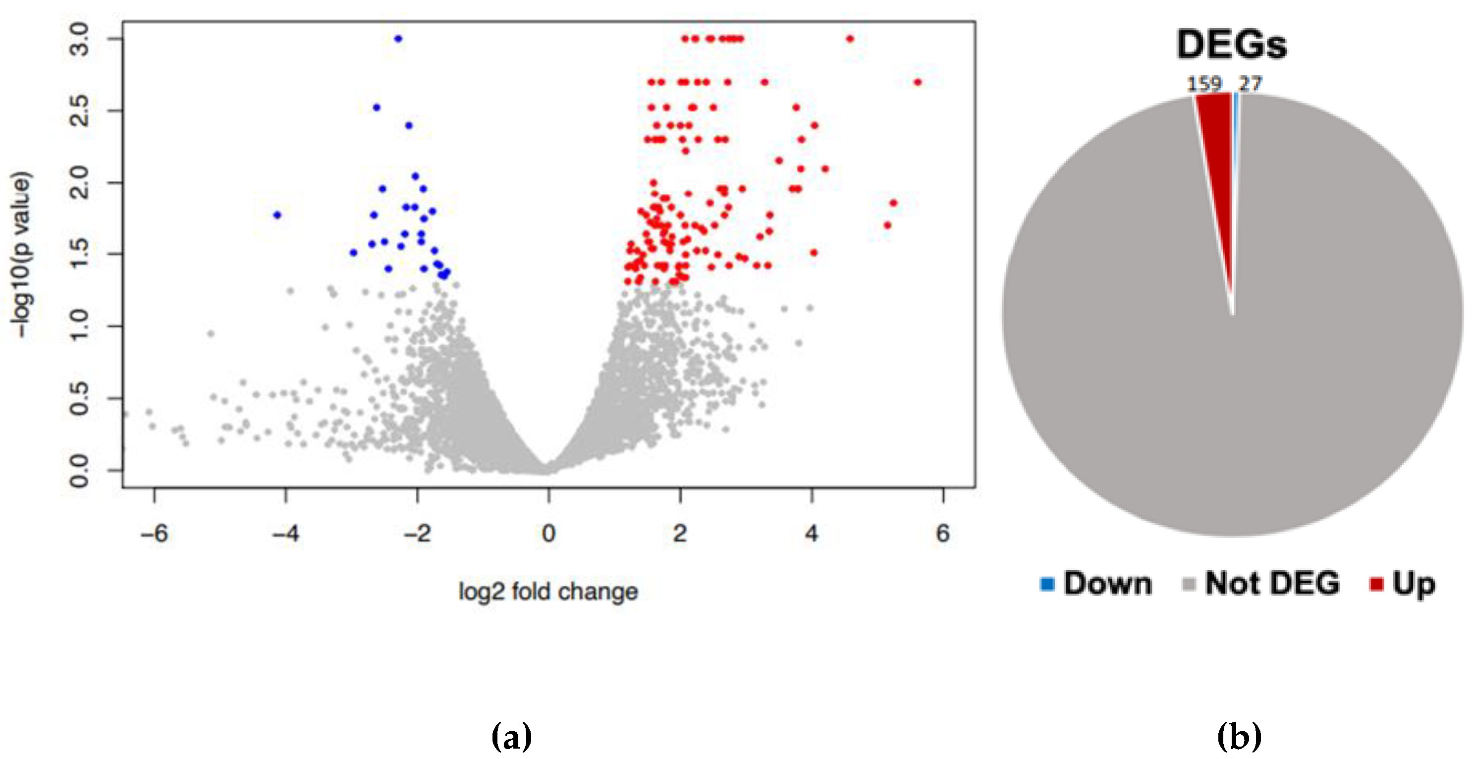 Preprints 90179 g002