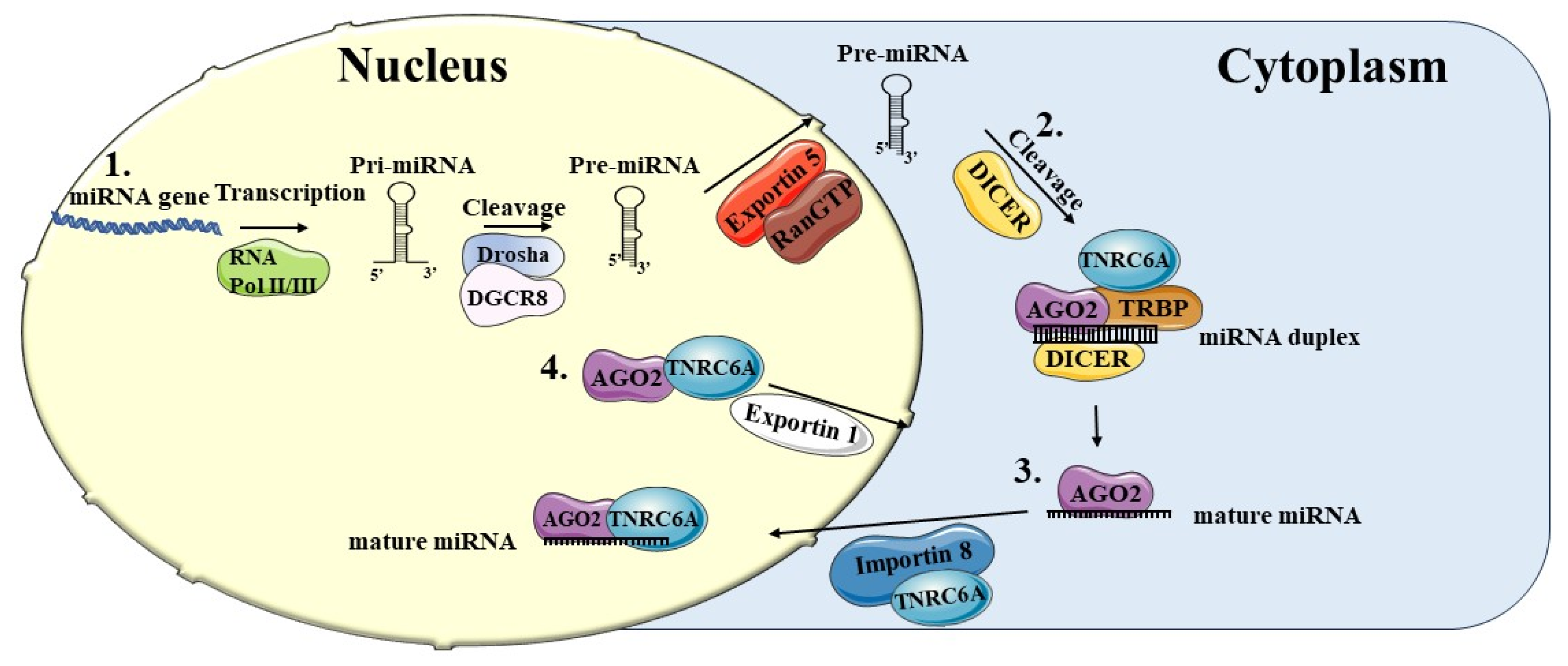 Preprints 105212 g001