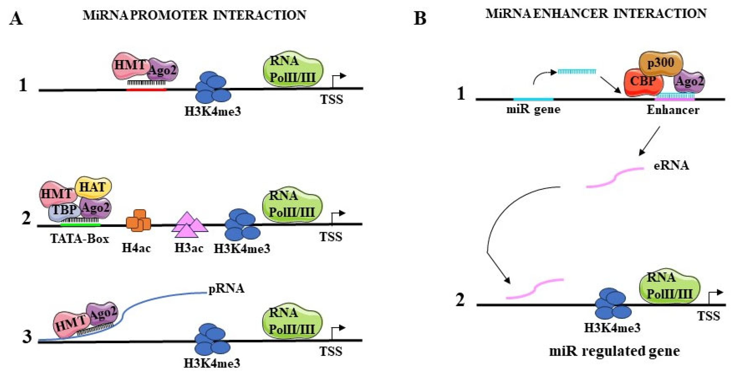 Preprints 105212 g002