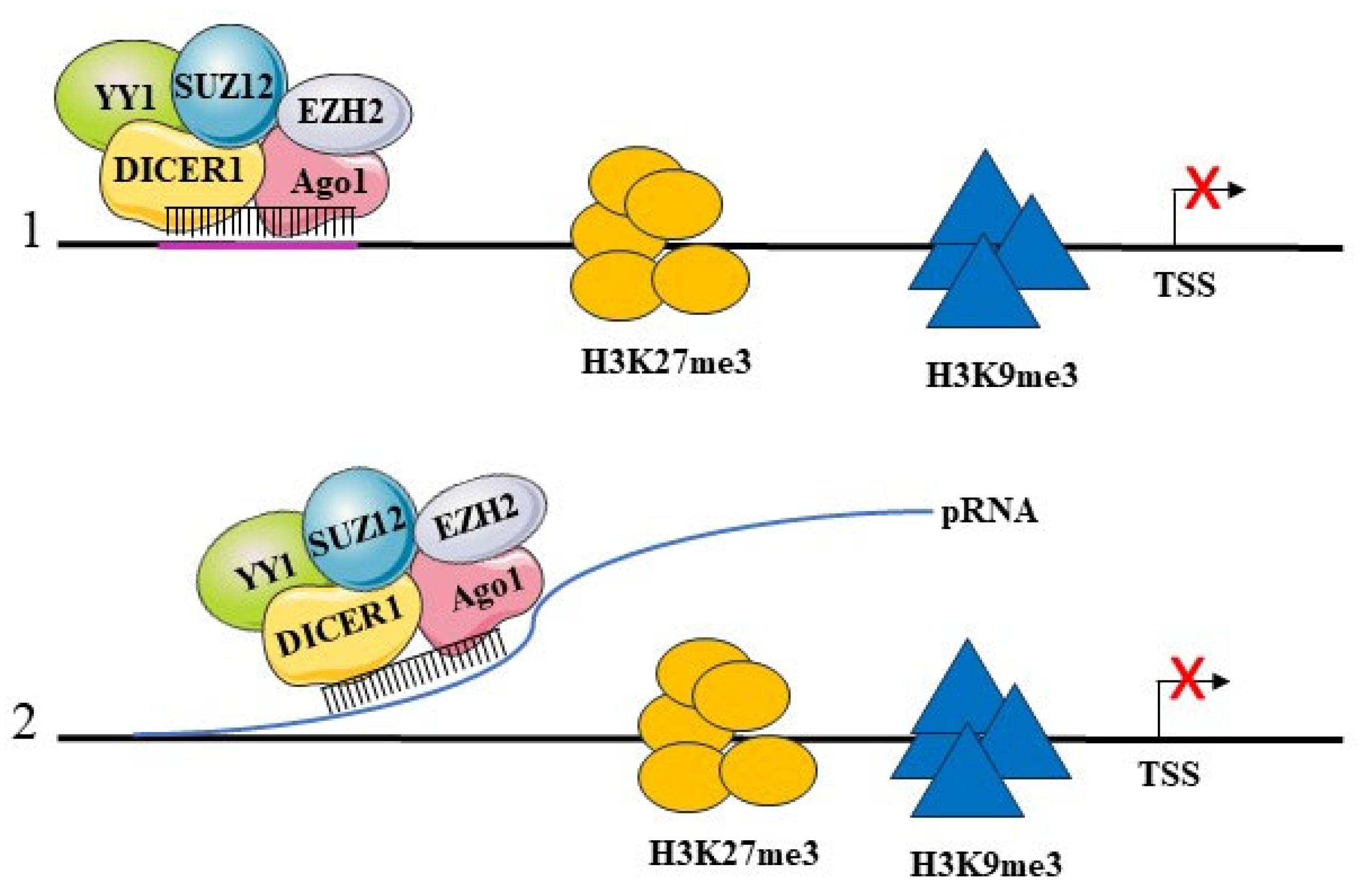 Preprints 105212 g003