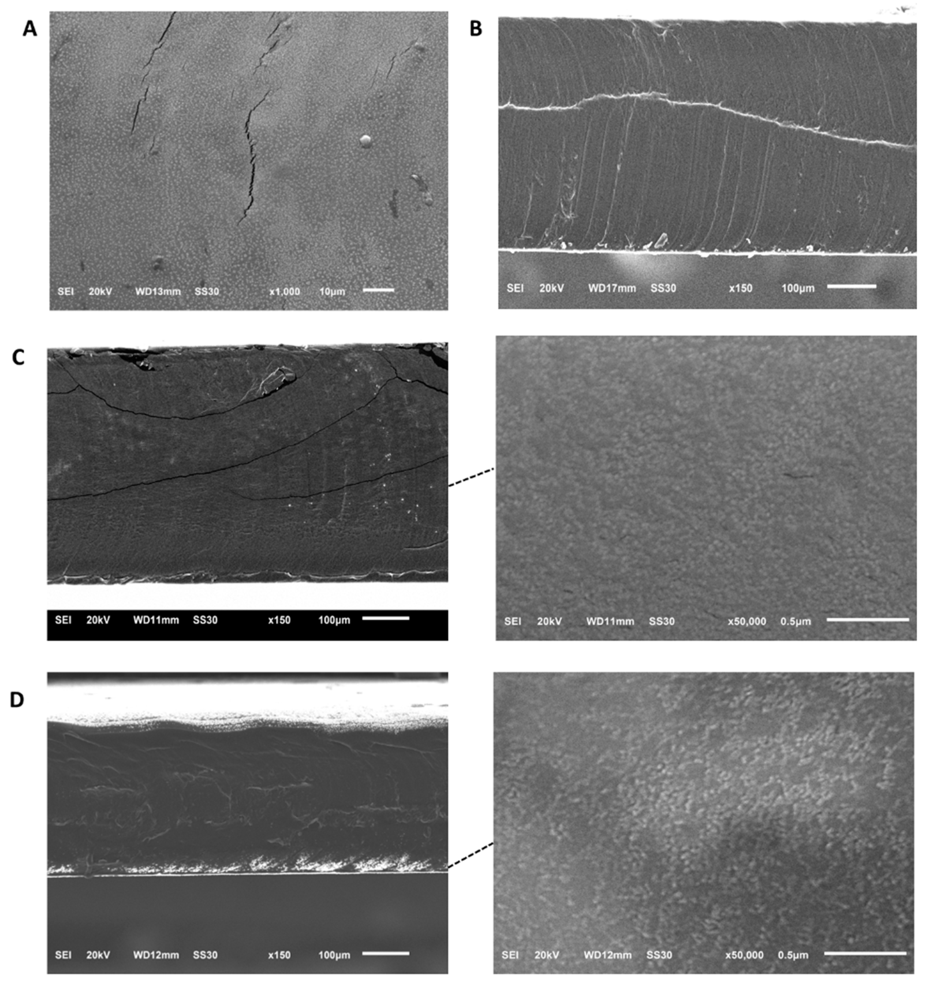 Preprints 89749 g006