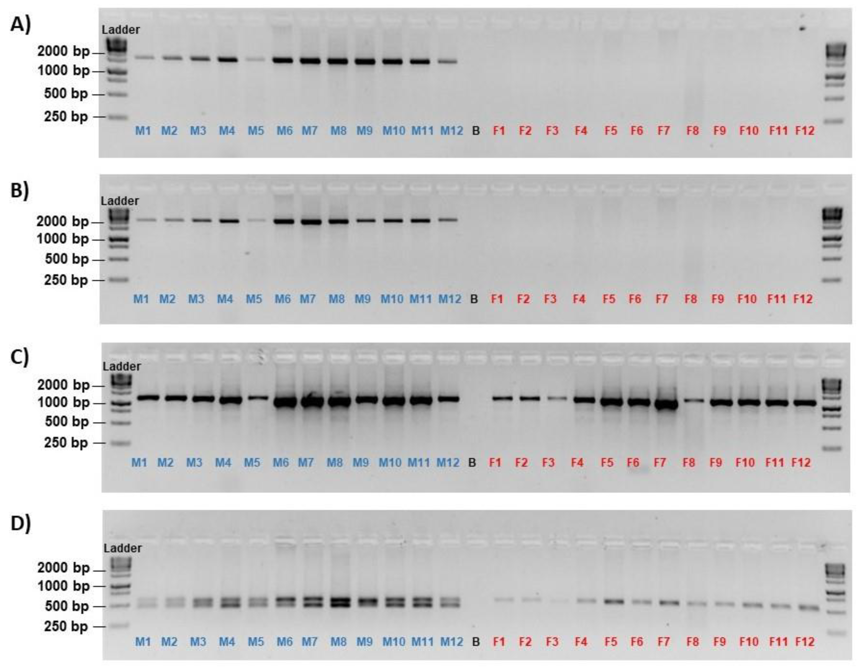 Preprints 74025 g001