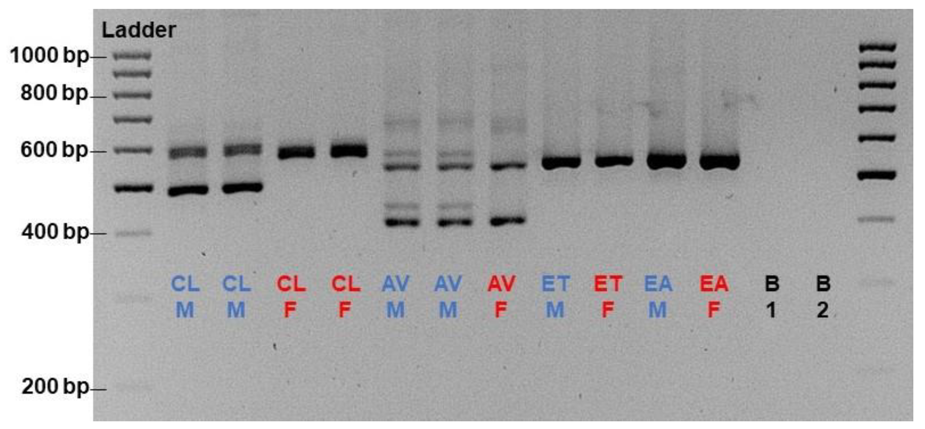 Preprints 74025 g002