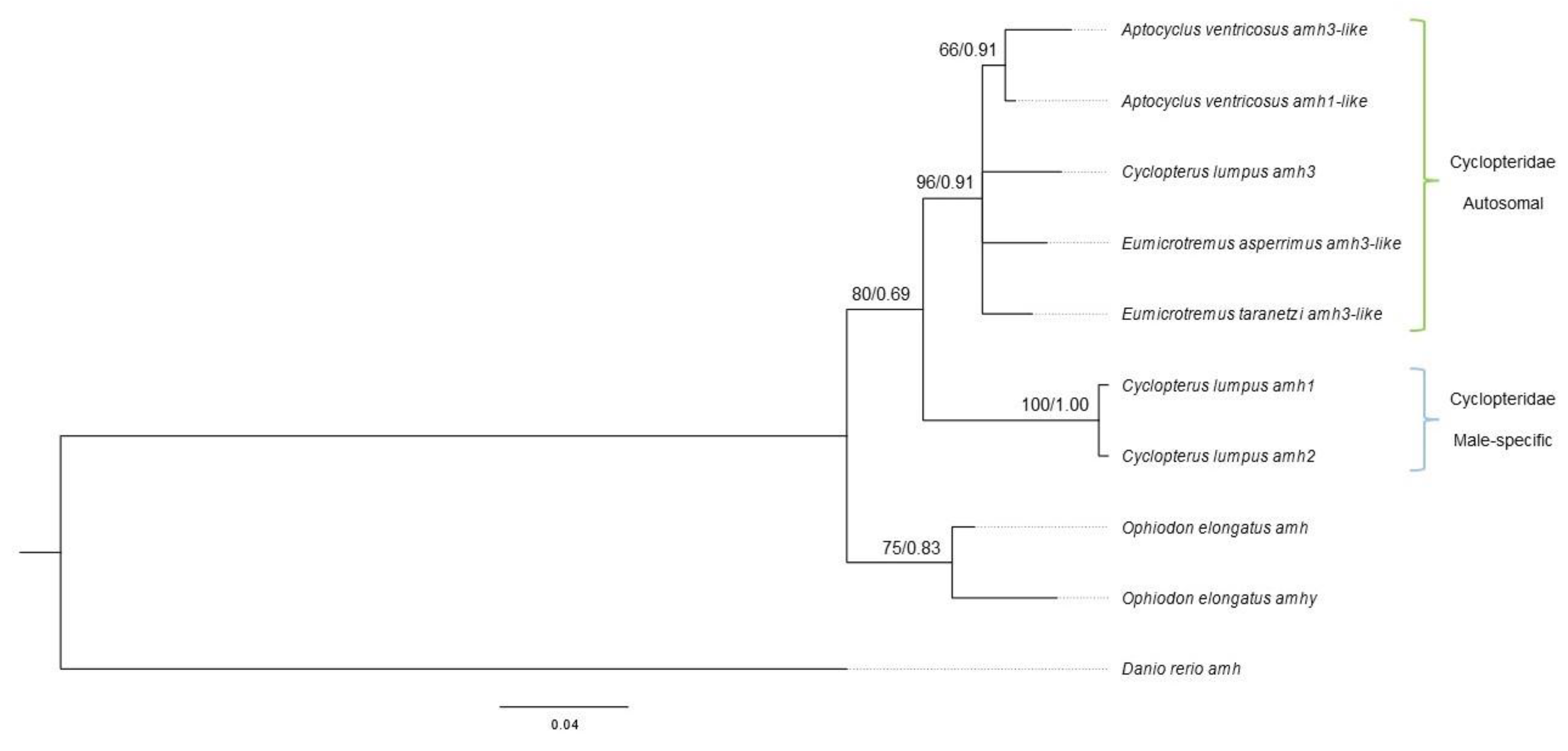 Preprints 74025 g003