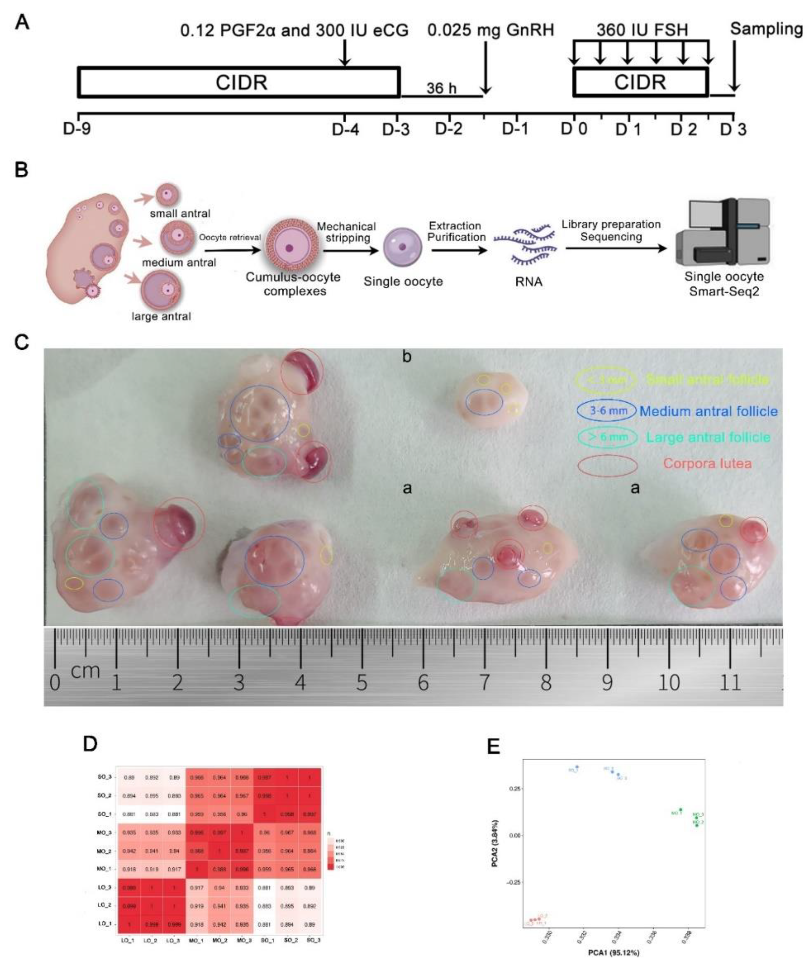 Preprints 89398 g001