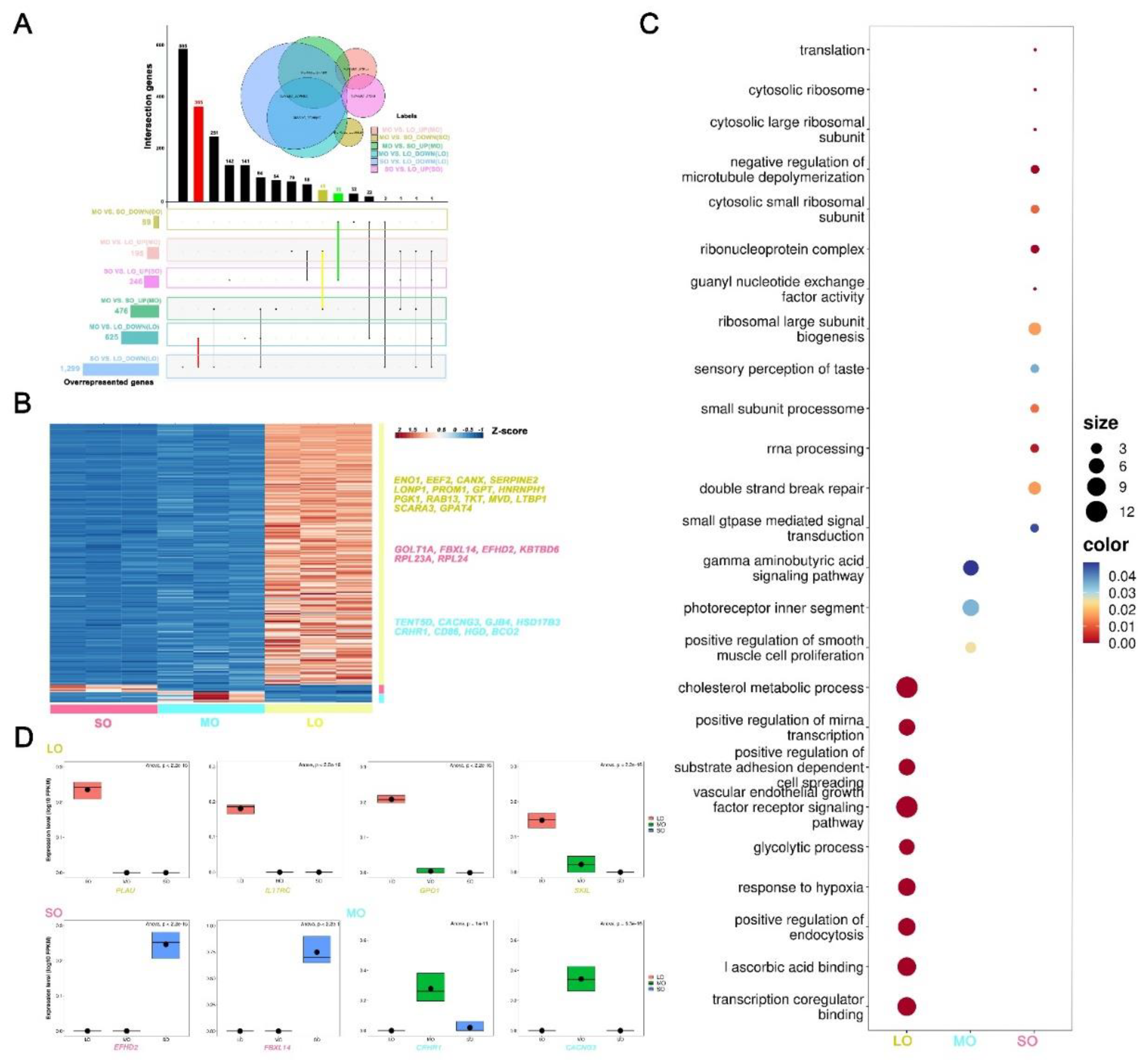 Preprints 89398 g003