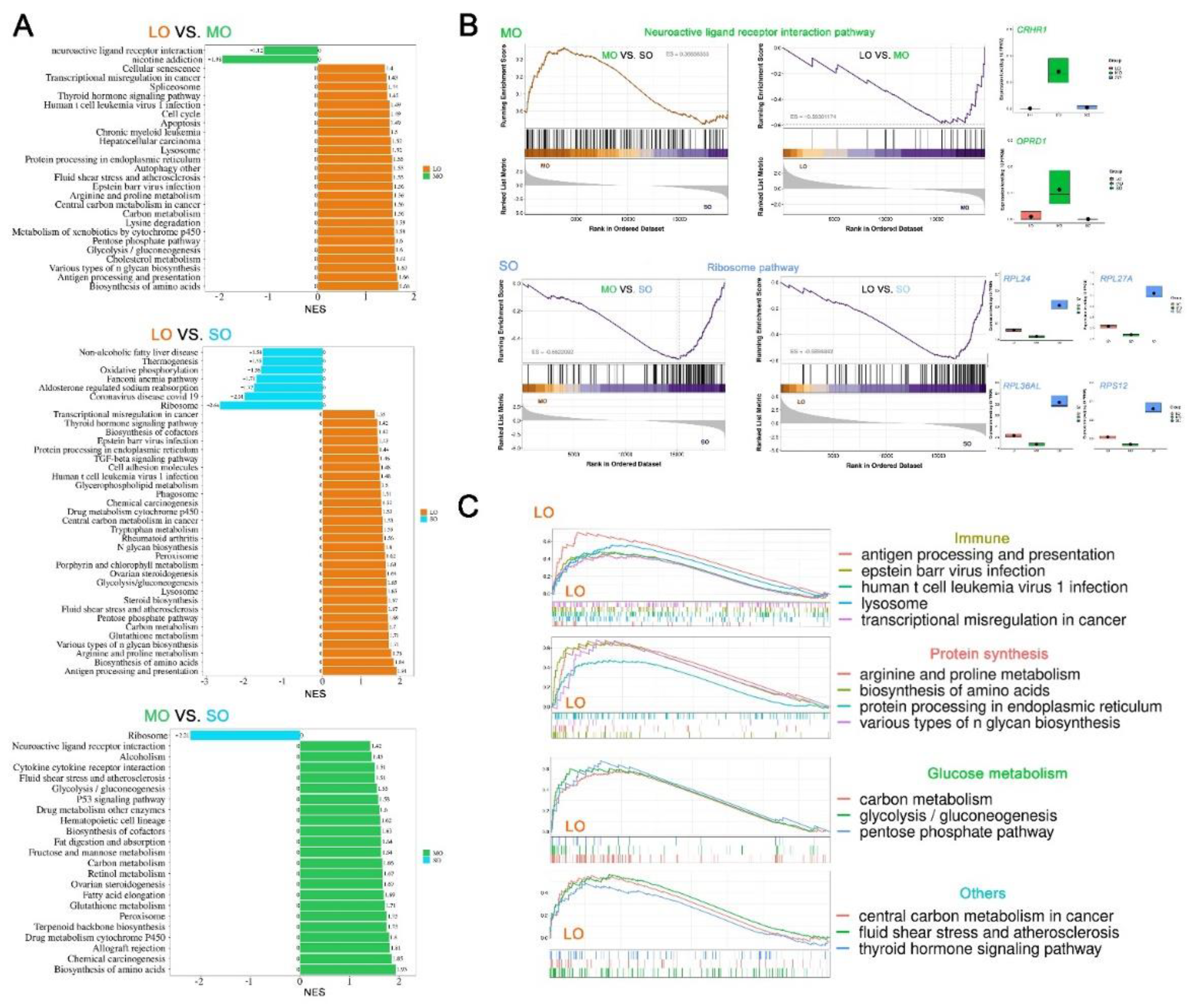 Preprints 89398 g004