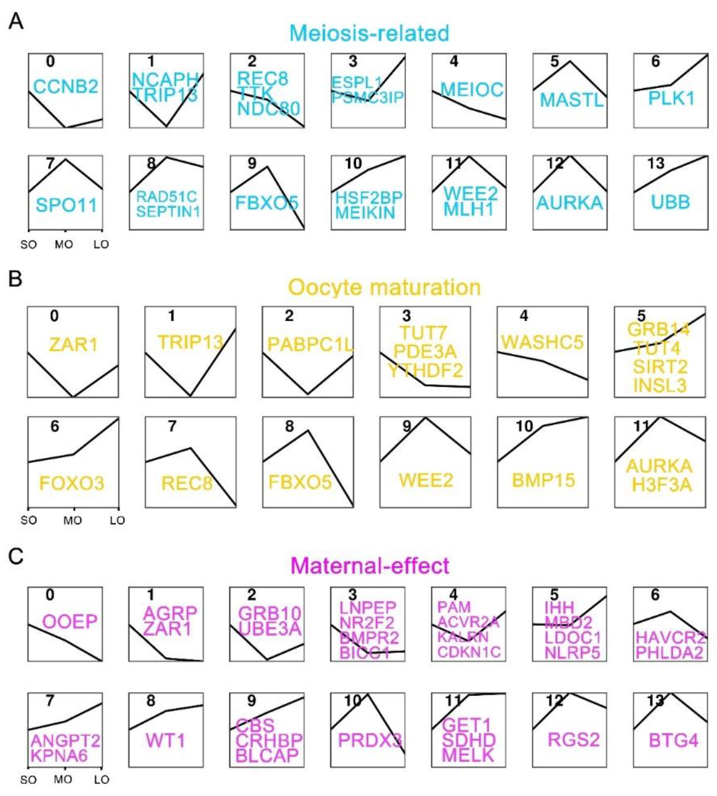 Preprints 89398 g005