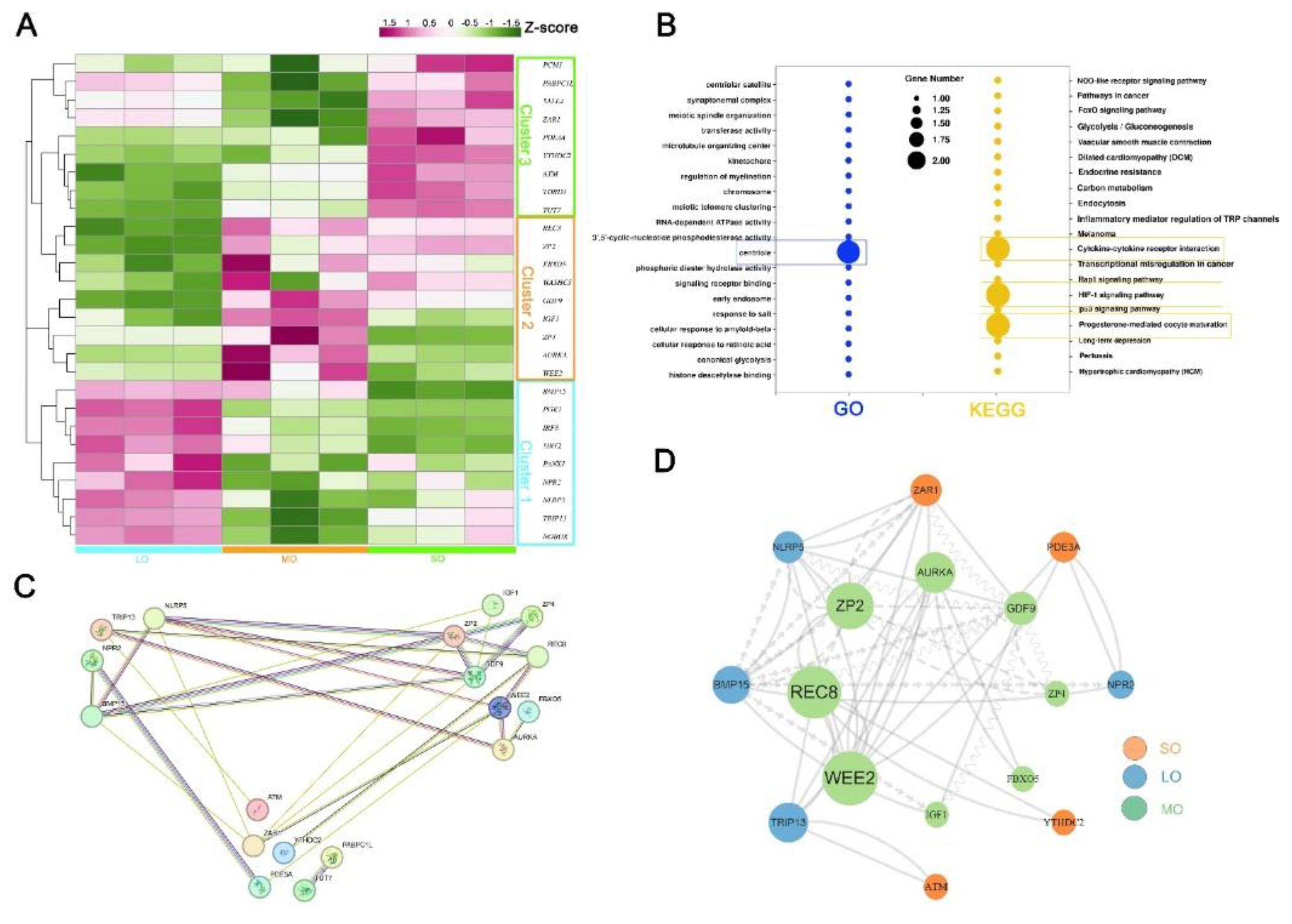 Preprints 89398 g006