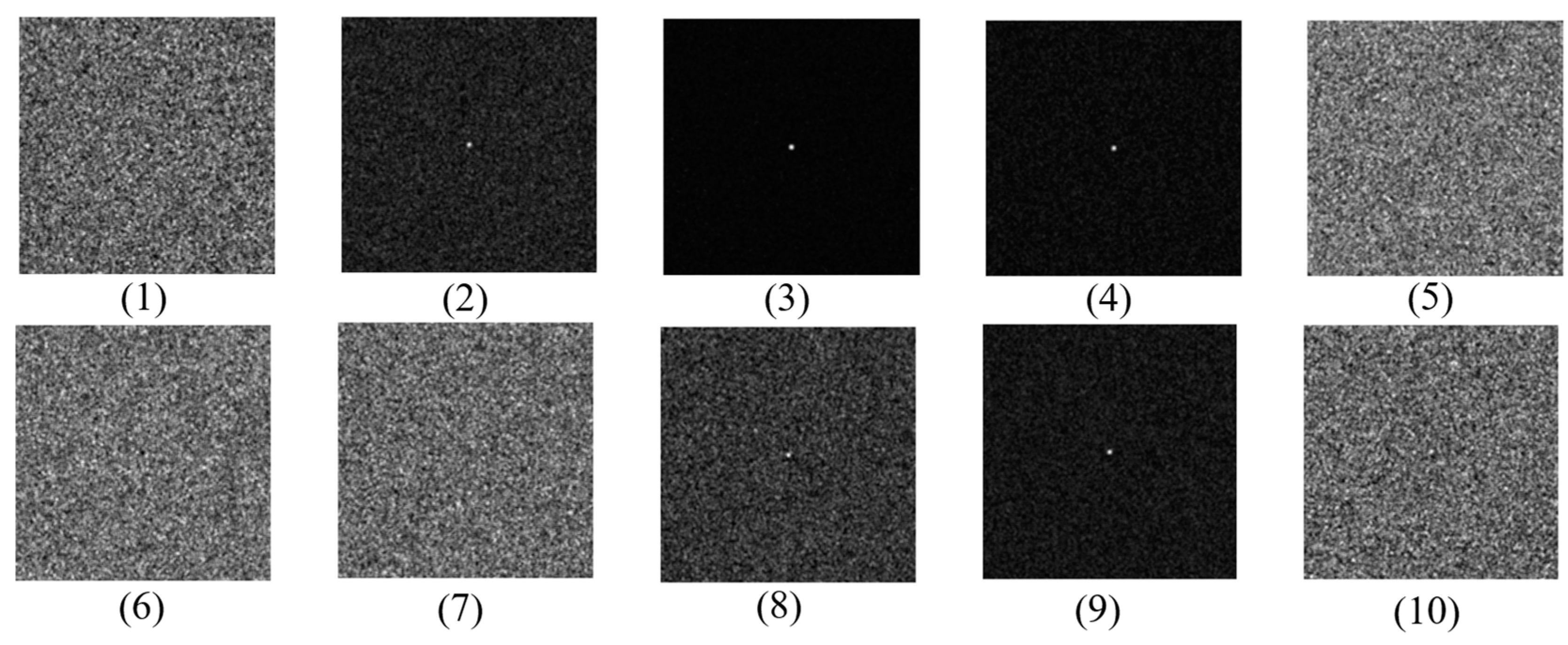 Preprints 107268 g012