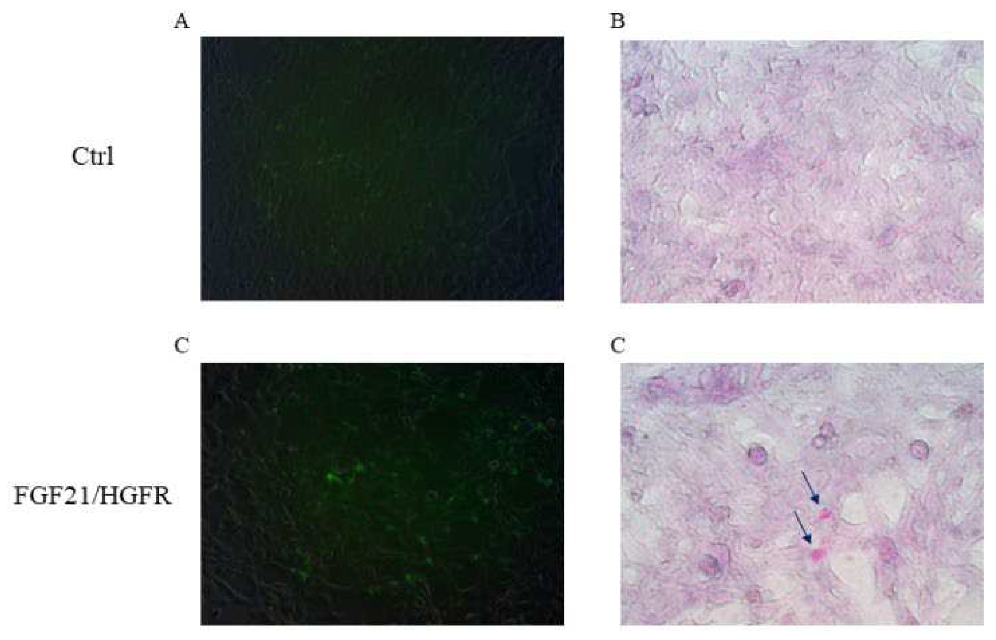 Preprints 93460 g002