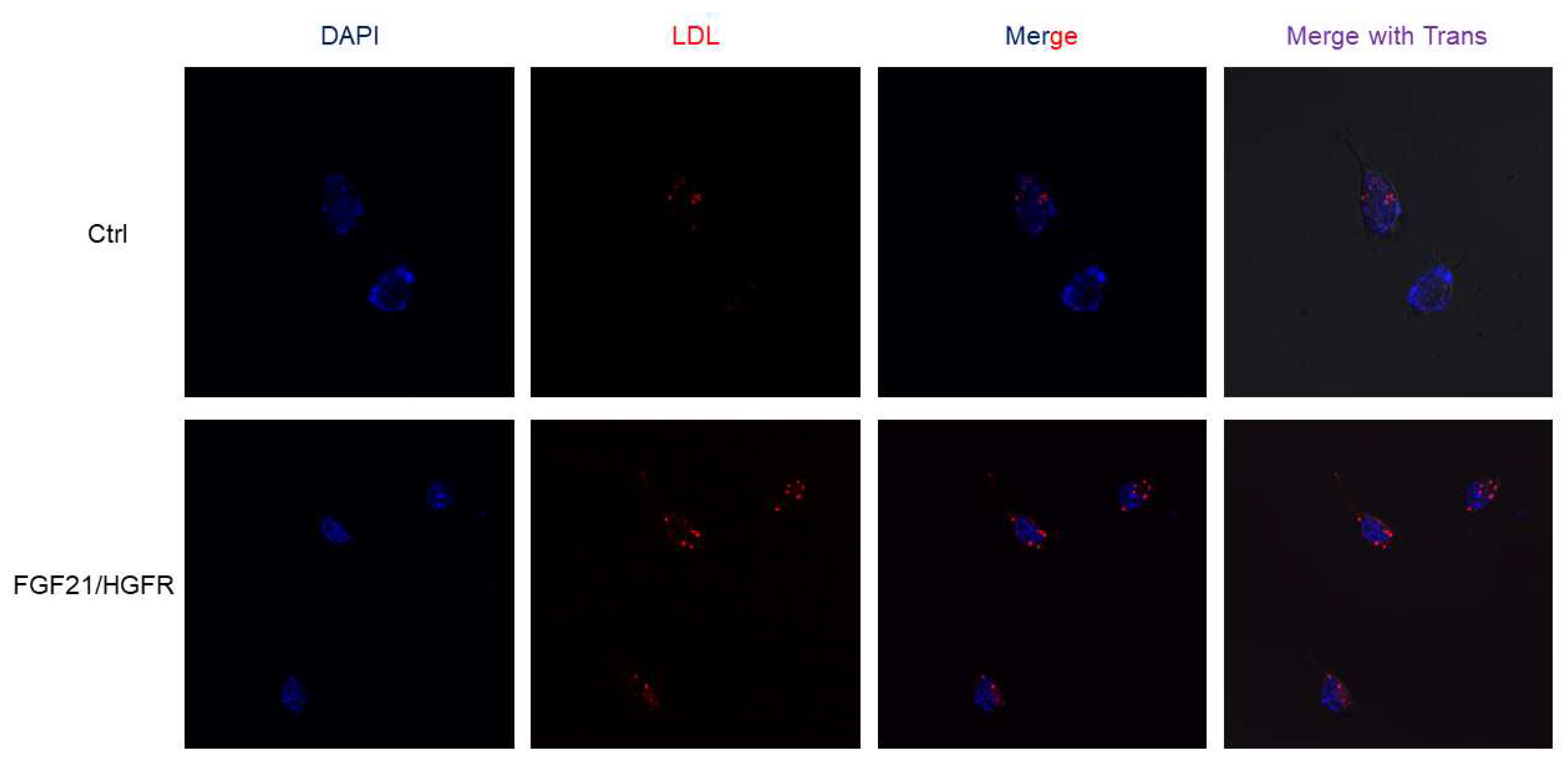 Preprints 93460 g003