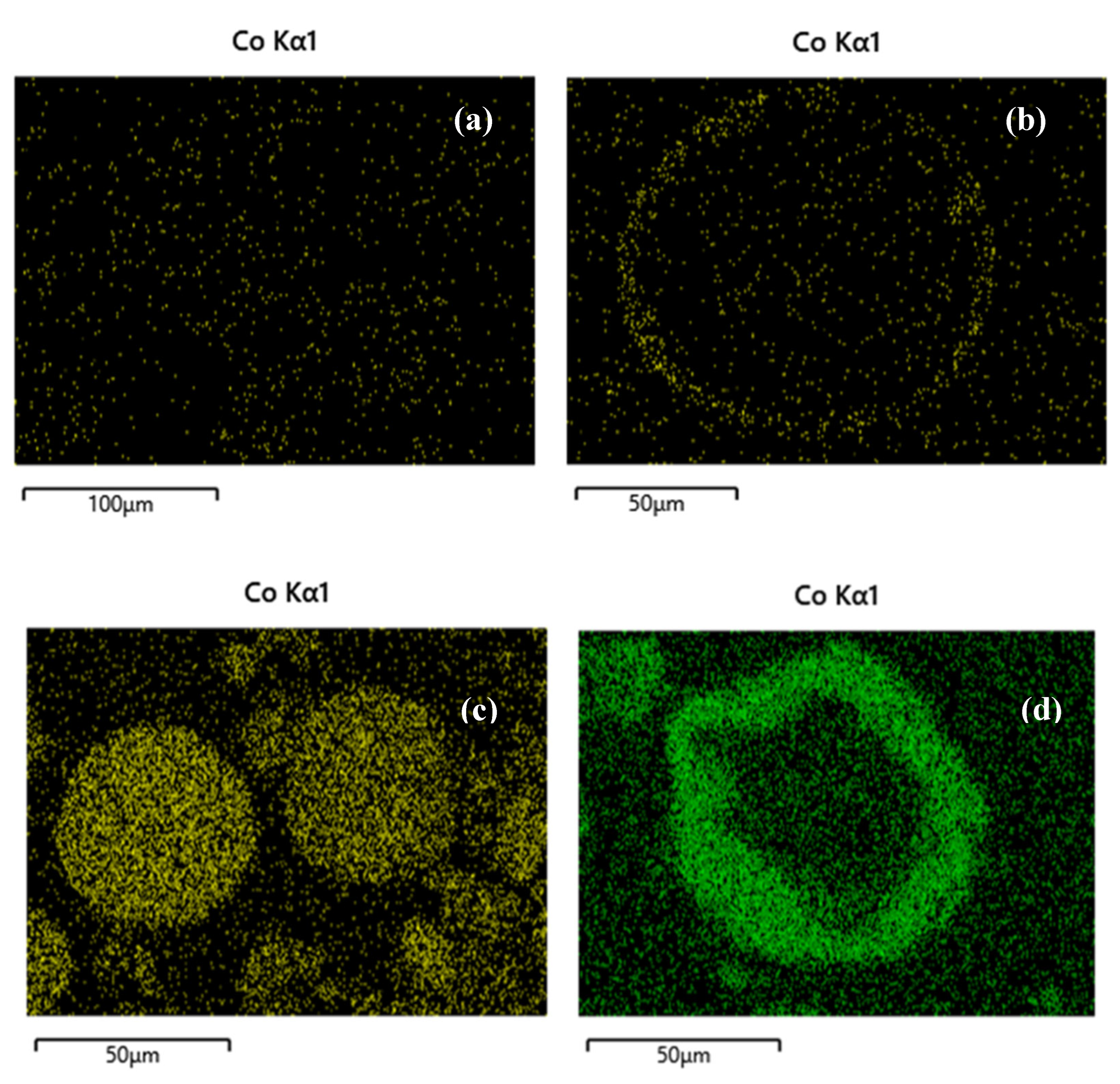 Preprints 92019 g002a