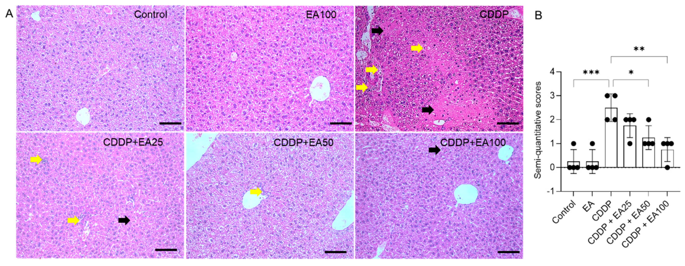 Preprints 86634 g003