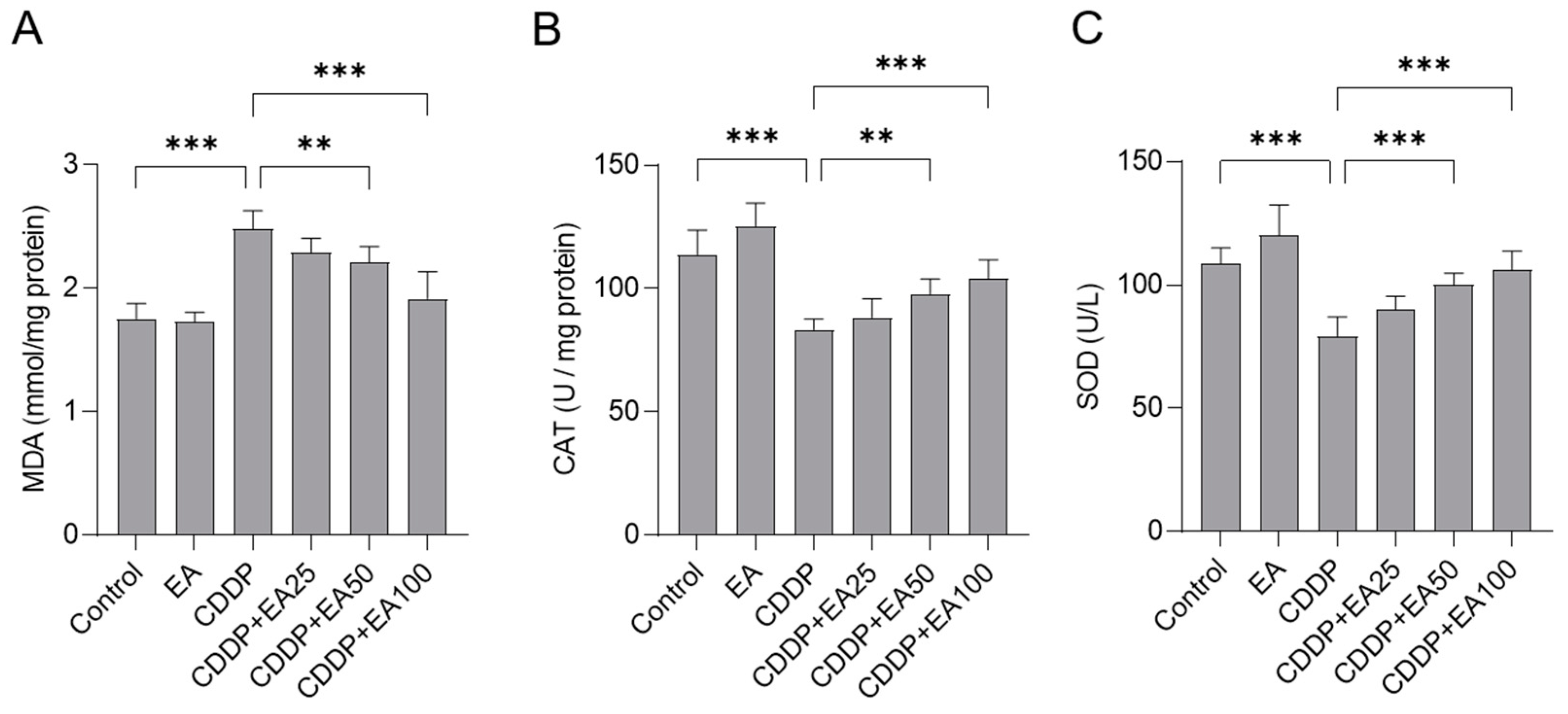 Preprints 86634 g004