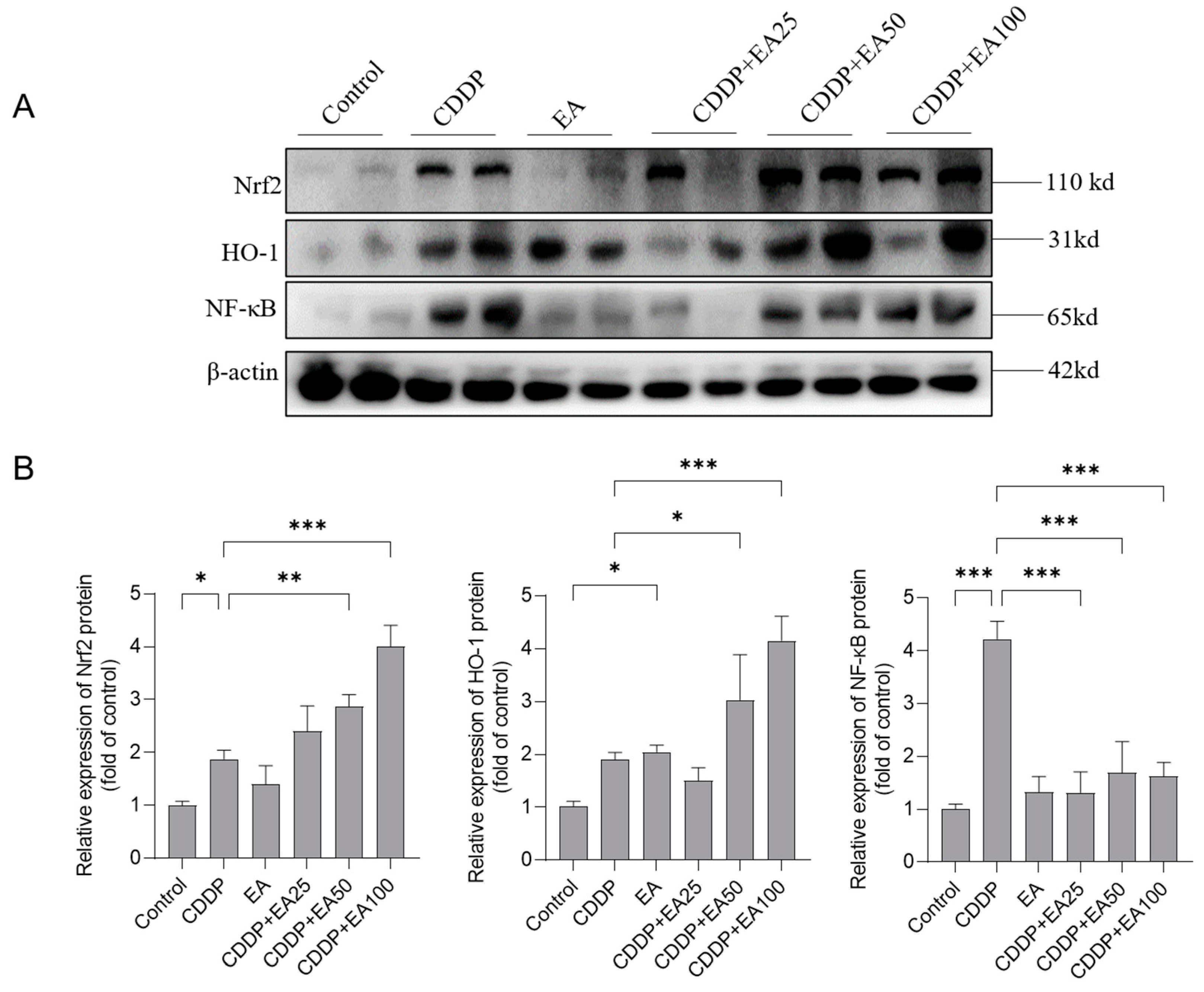 Preprints 86634 g008