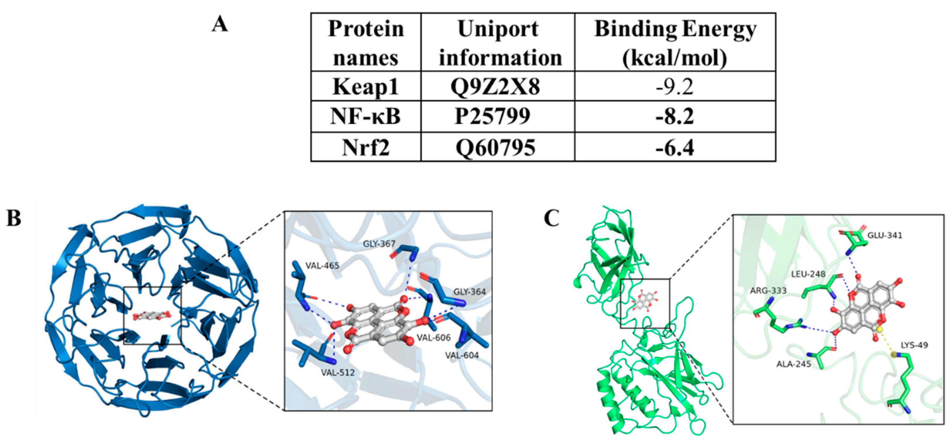 Preprints 86634 g009