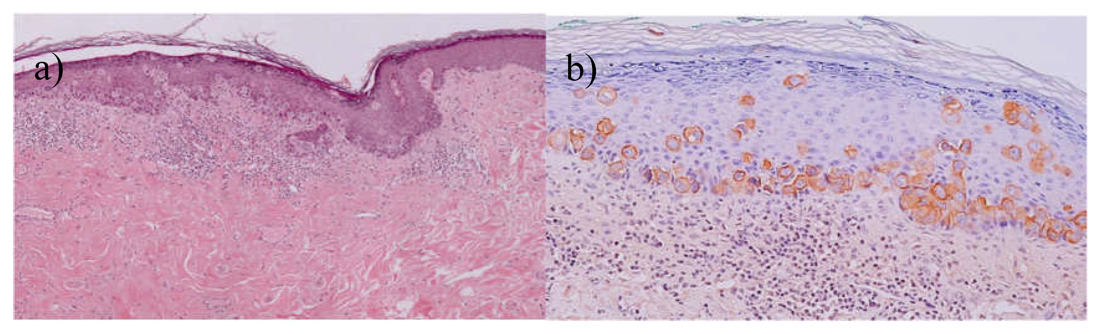 Preprints 118156 g003