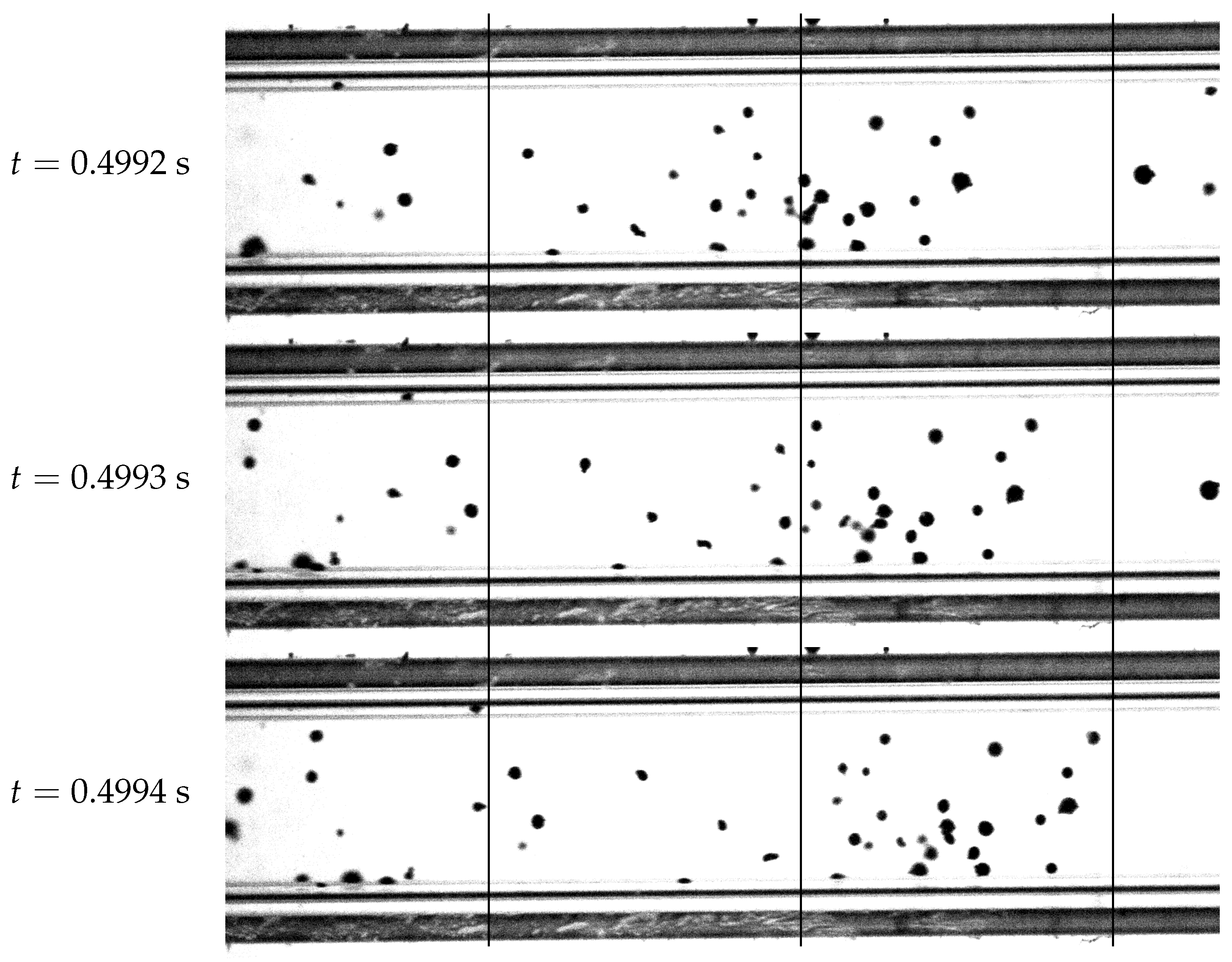 Preprints 114337 g007