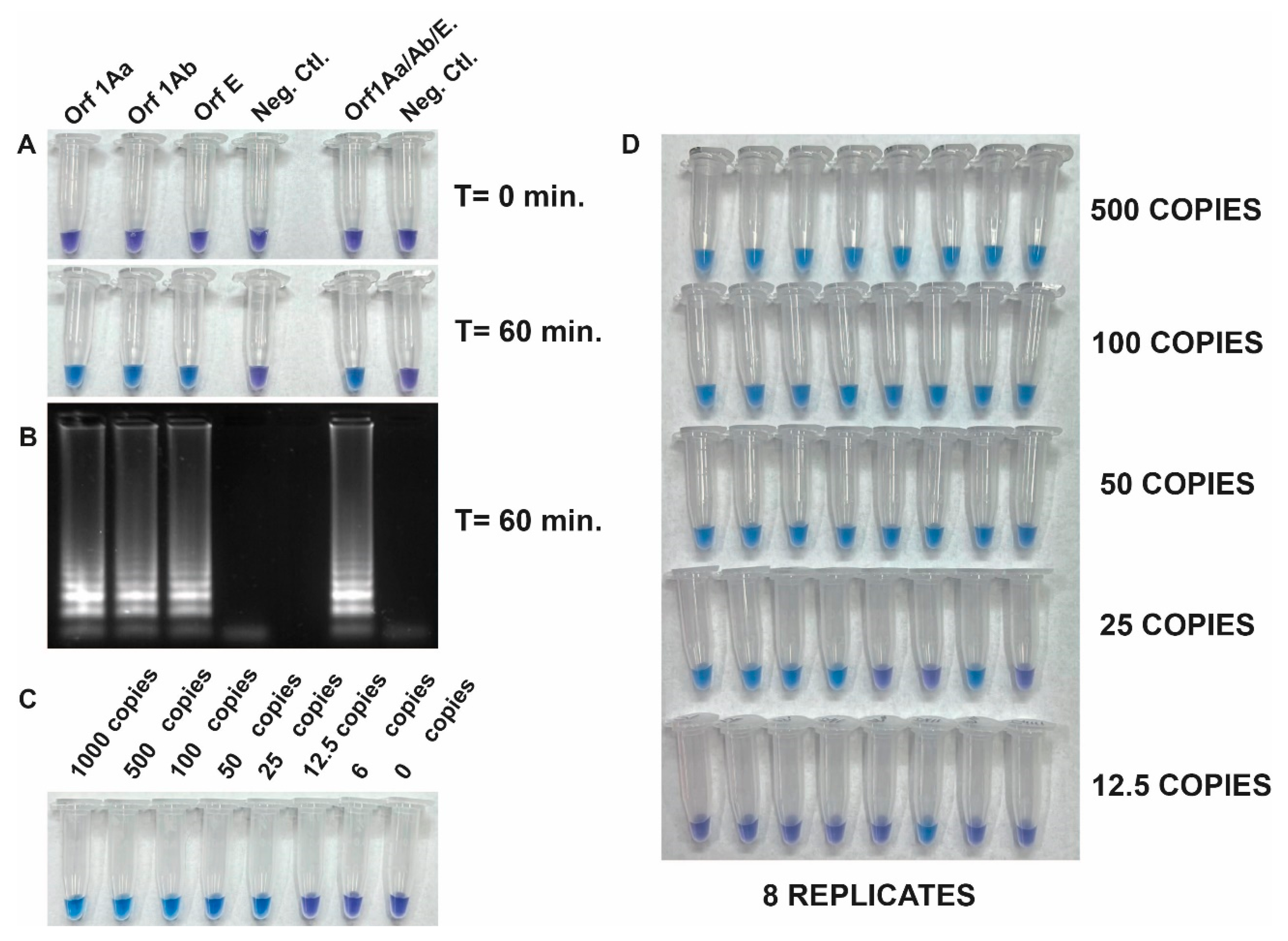 Preprints 80671 g002