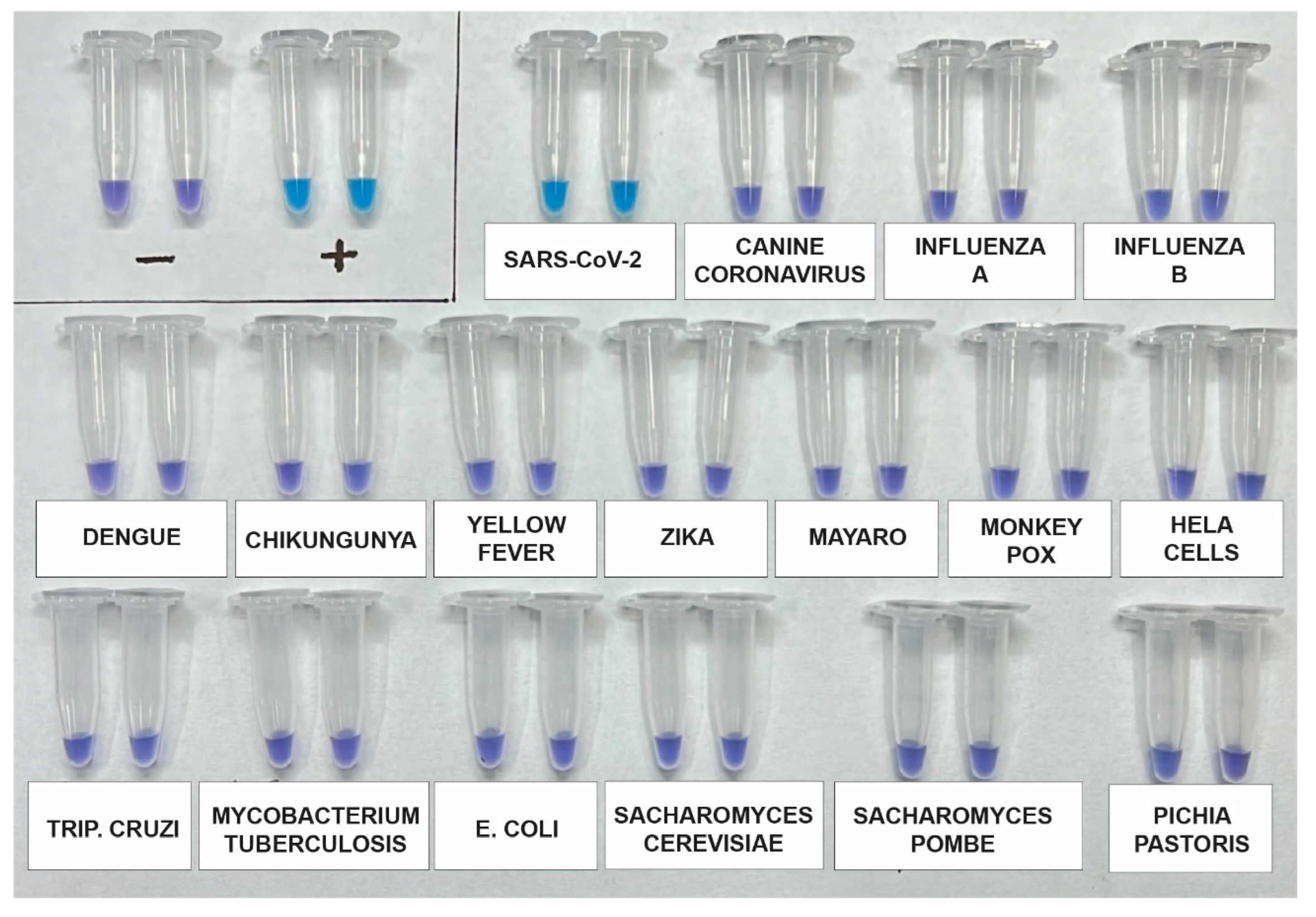 Preprints 80671 g003