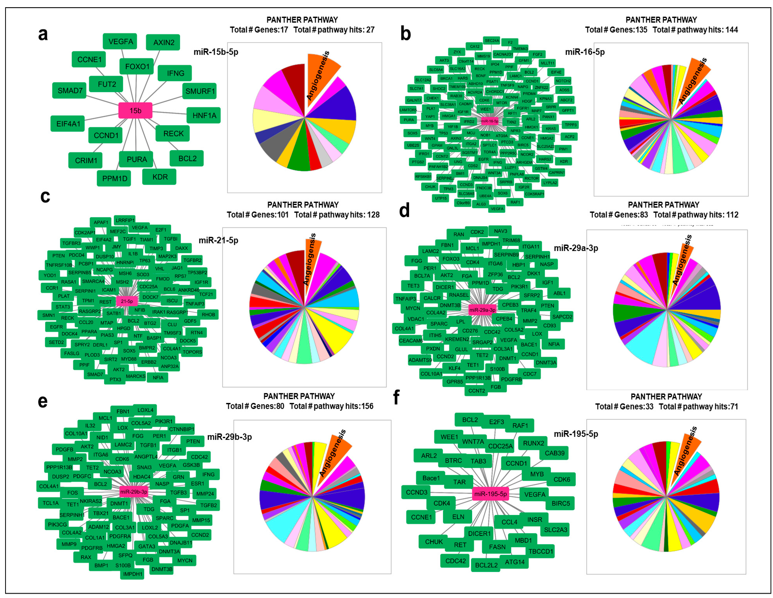 Preprints 84747 g002