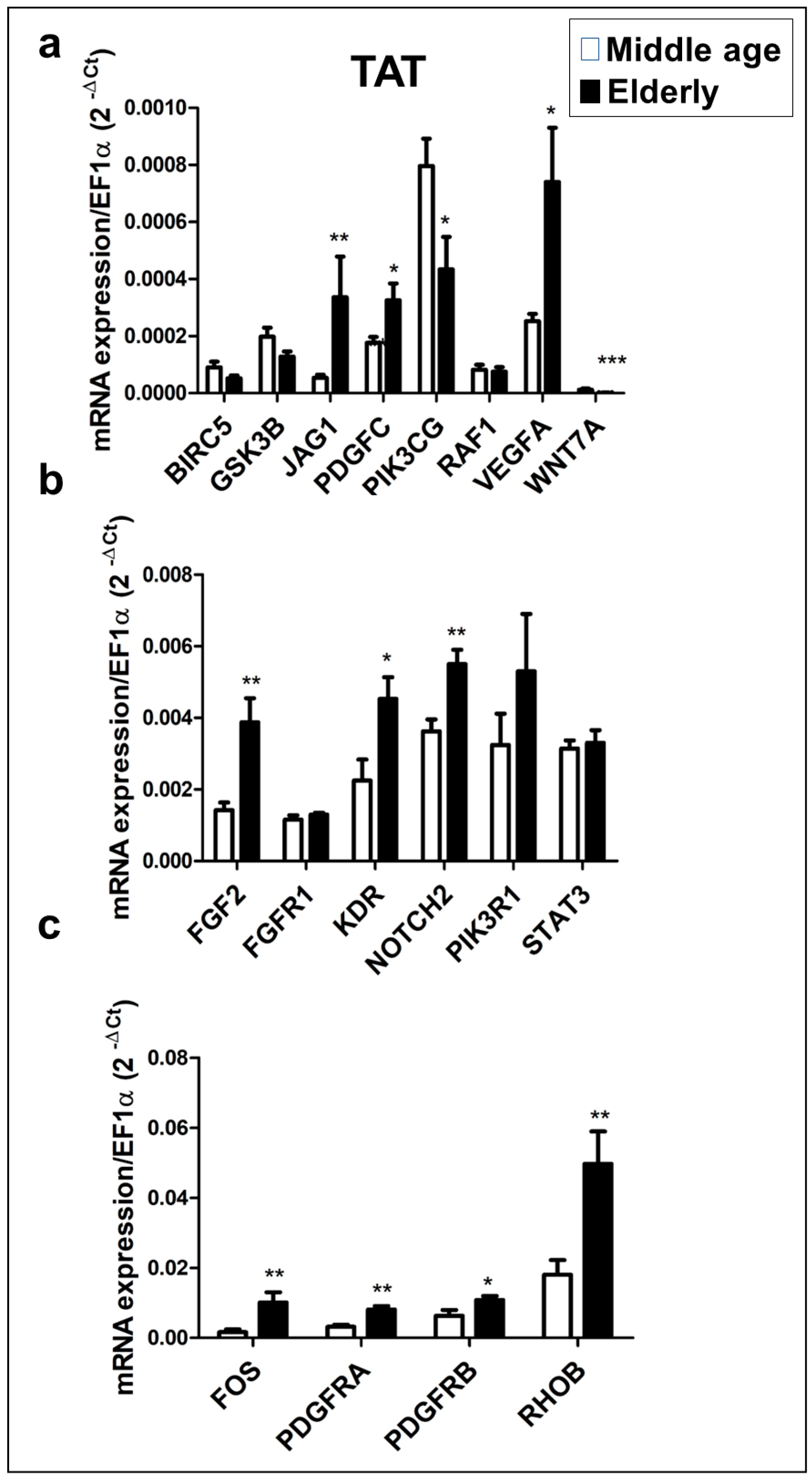 Preprints 84747 g004