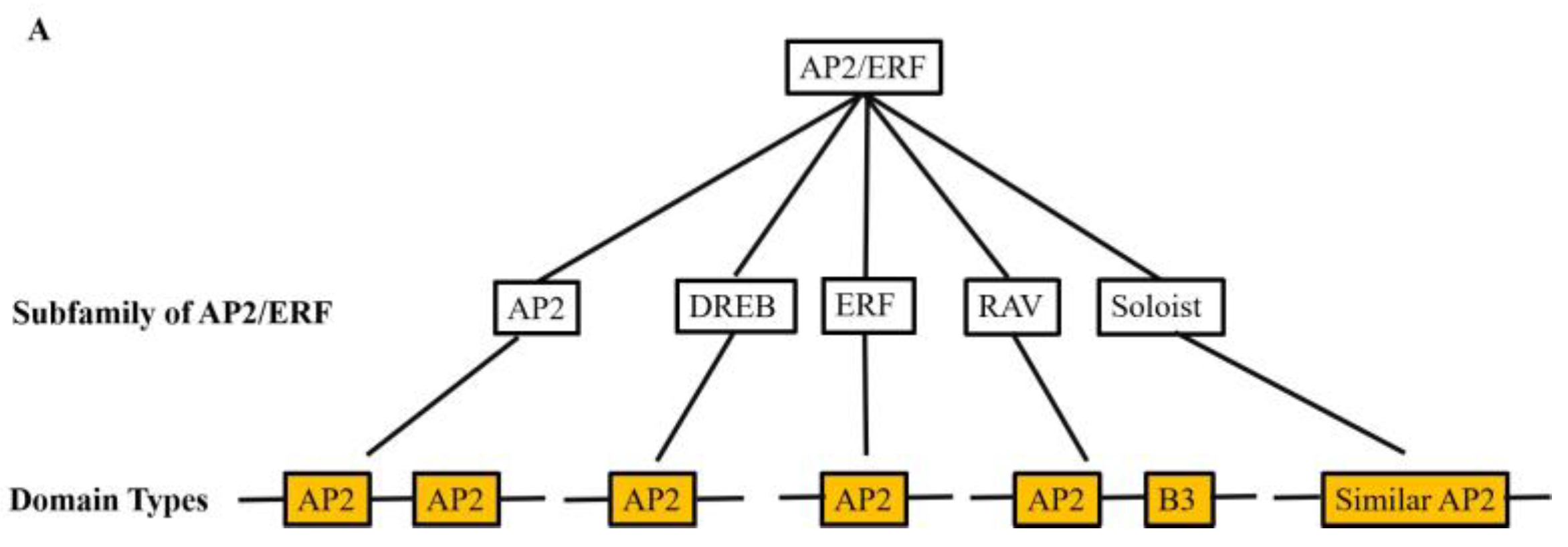 Preprints 93288 g001