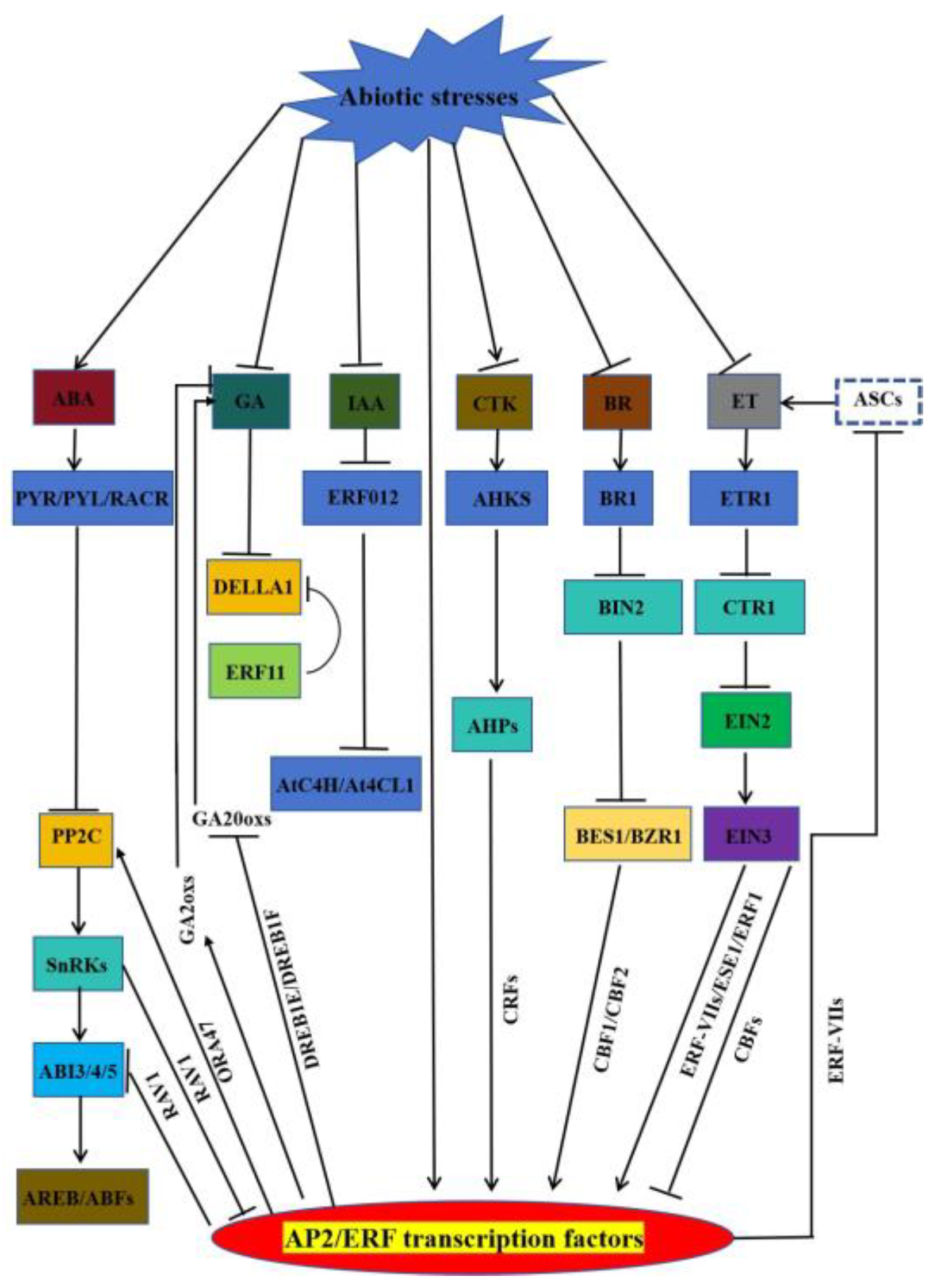 Preprints 93288 g003