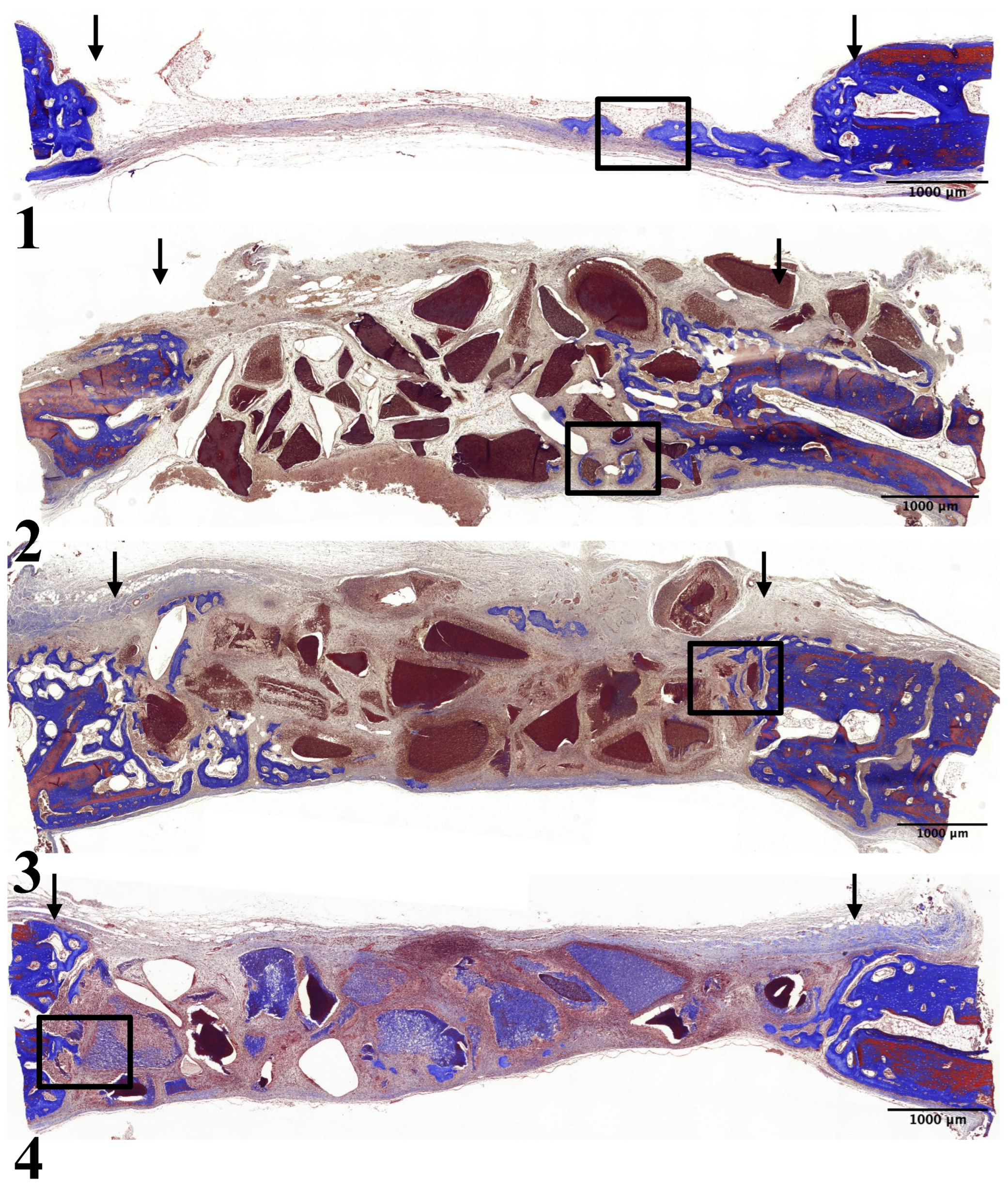 Preprints 106870 g002