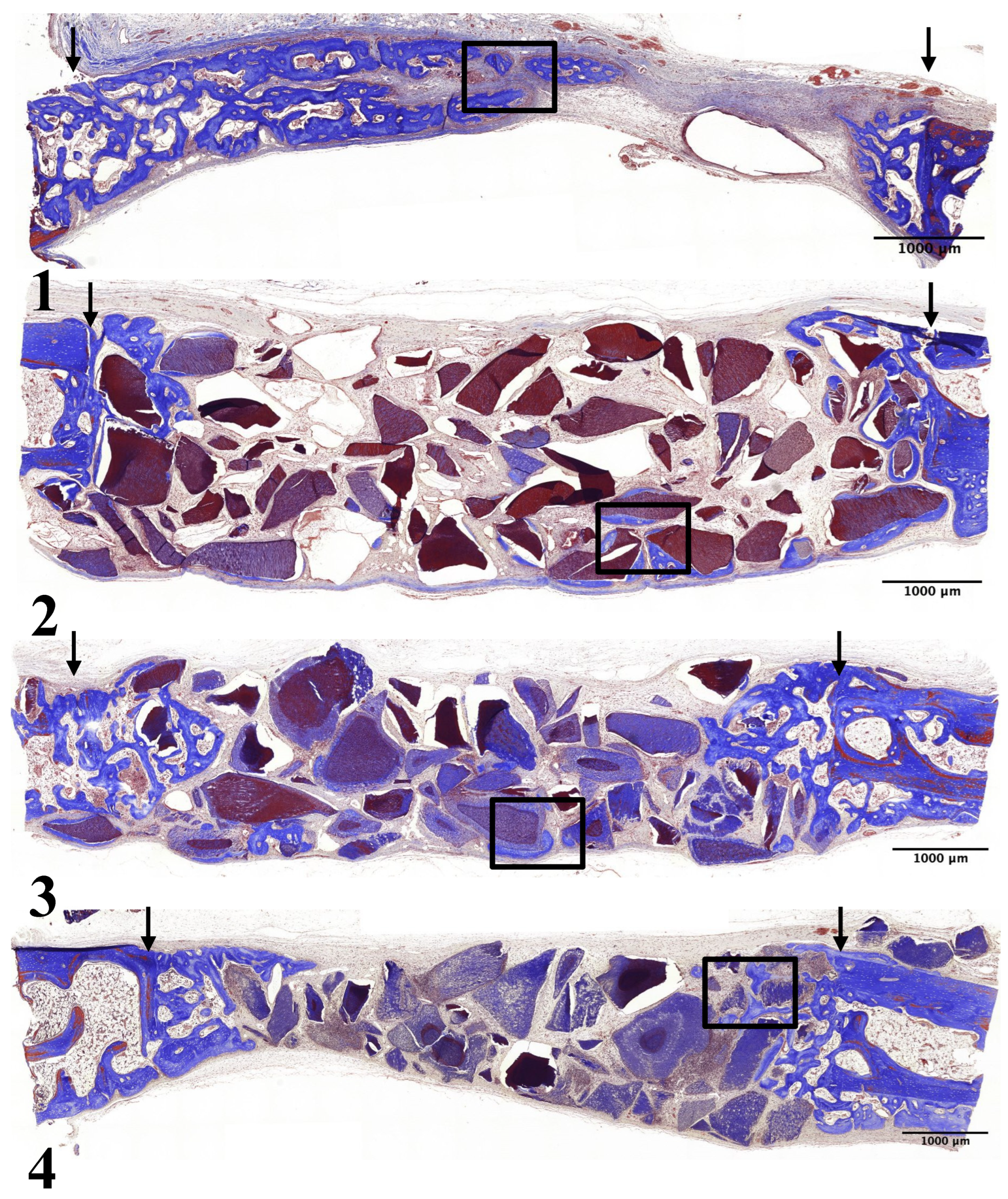 Preprints 106870 g004