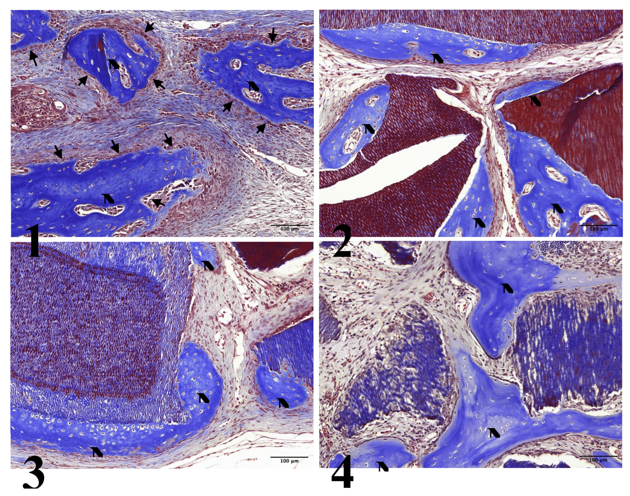 Preprints 106870 g005