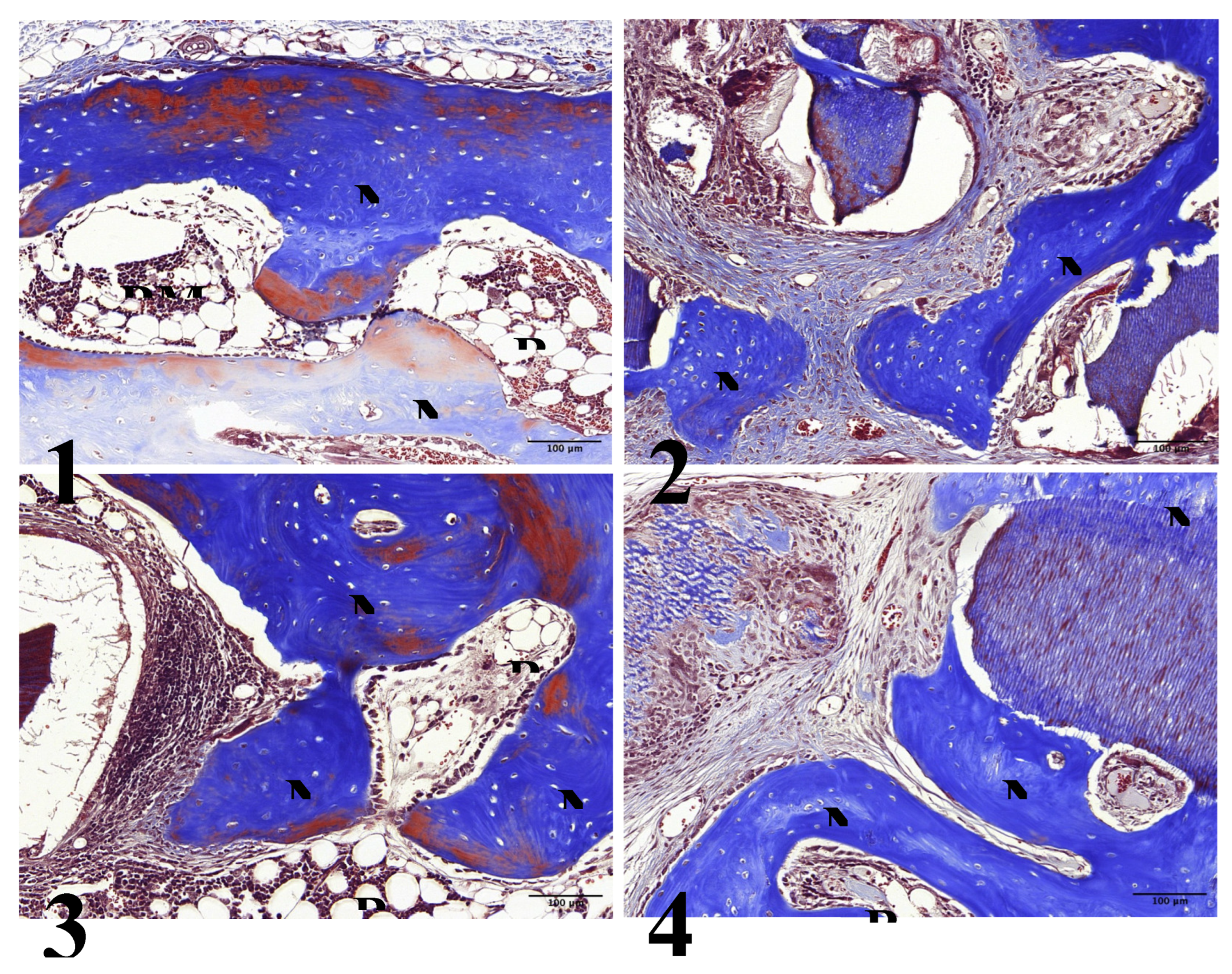 Preprints 106870 g007