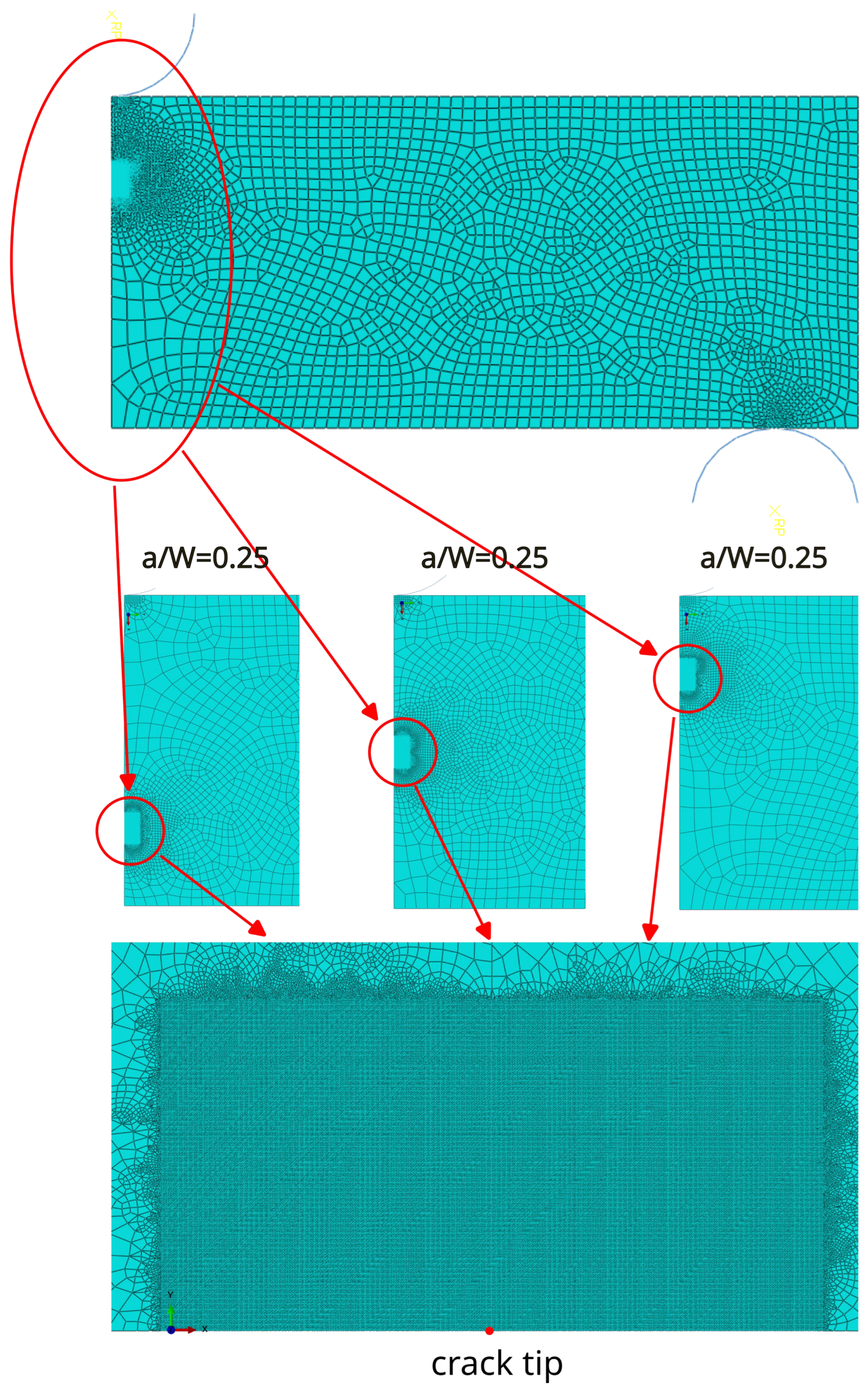 Preprints 118265 g003