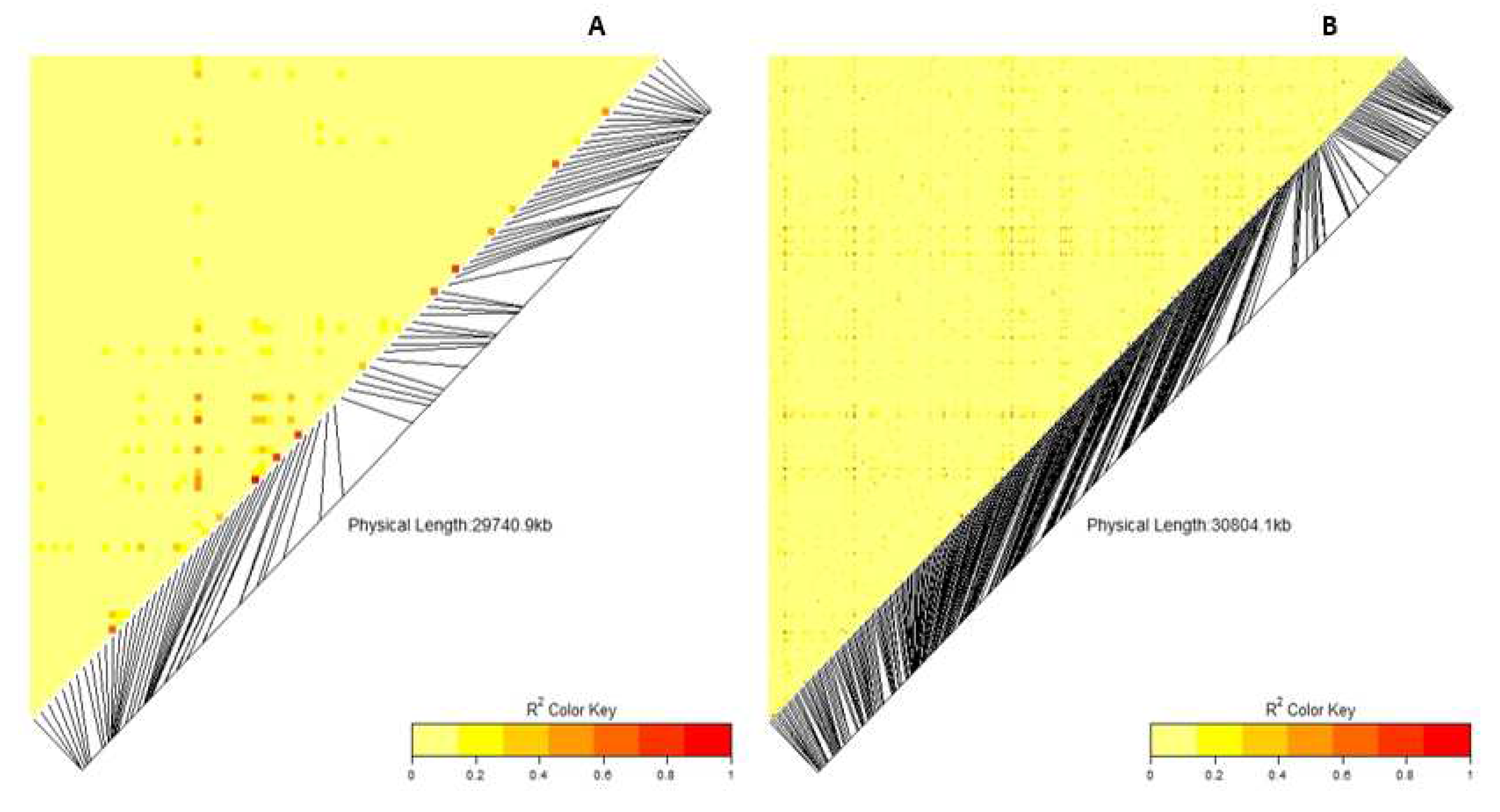 Preprints 75170 g005