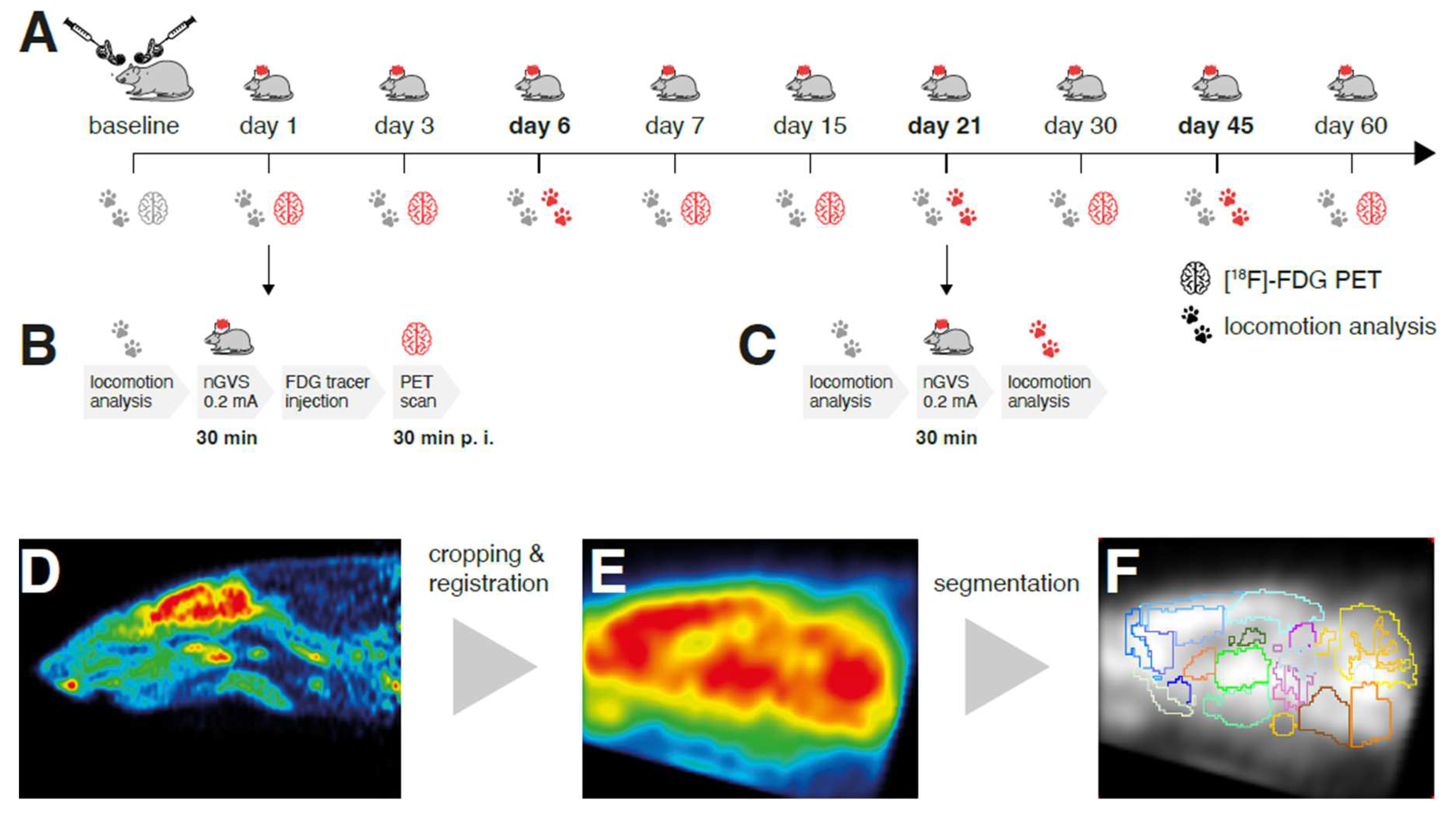 Preprints 83821 g001