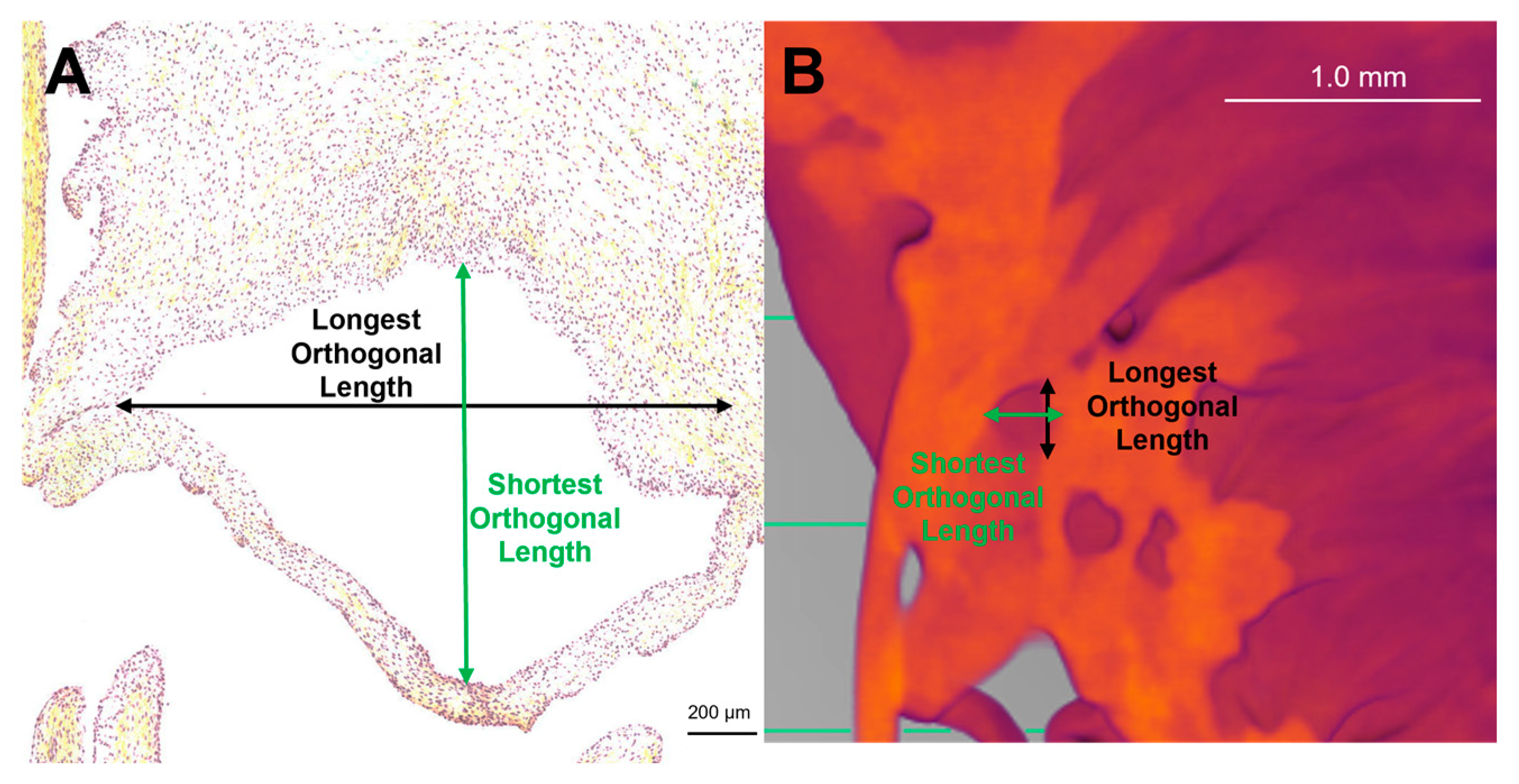 Preprints 120516 g002